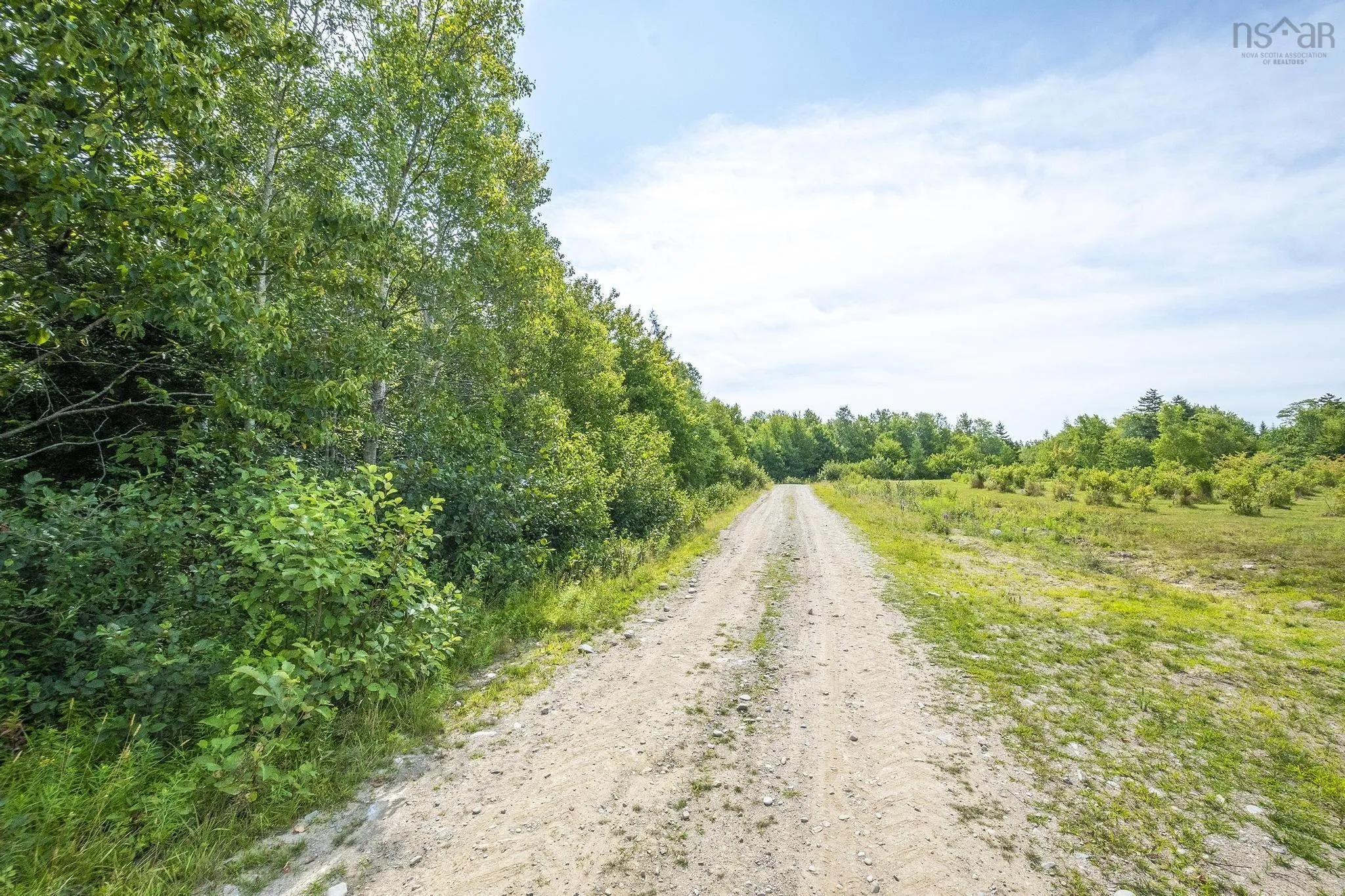 Oakridge Road, Church Point Ns B0w 2z0, ,Land,For Sale,Oakridge,202506386