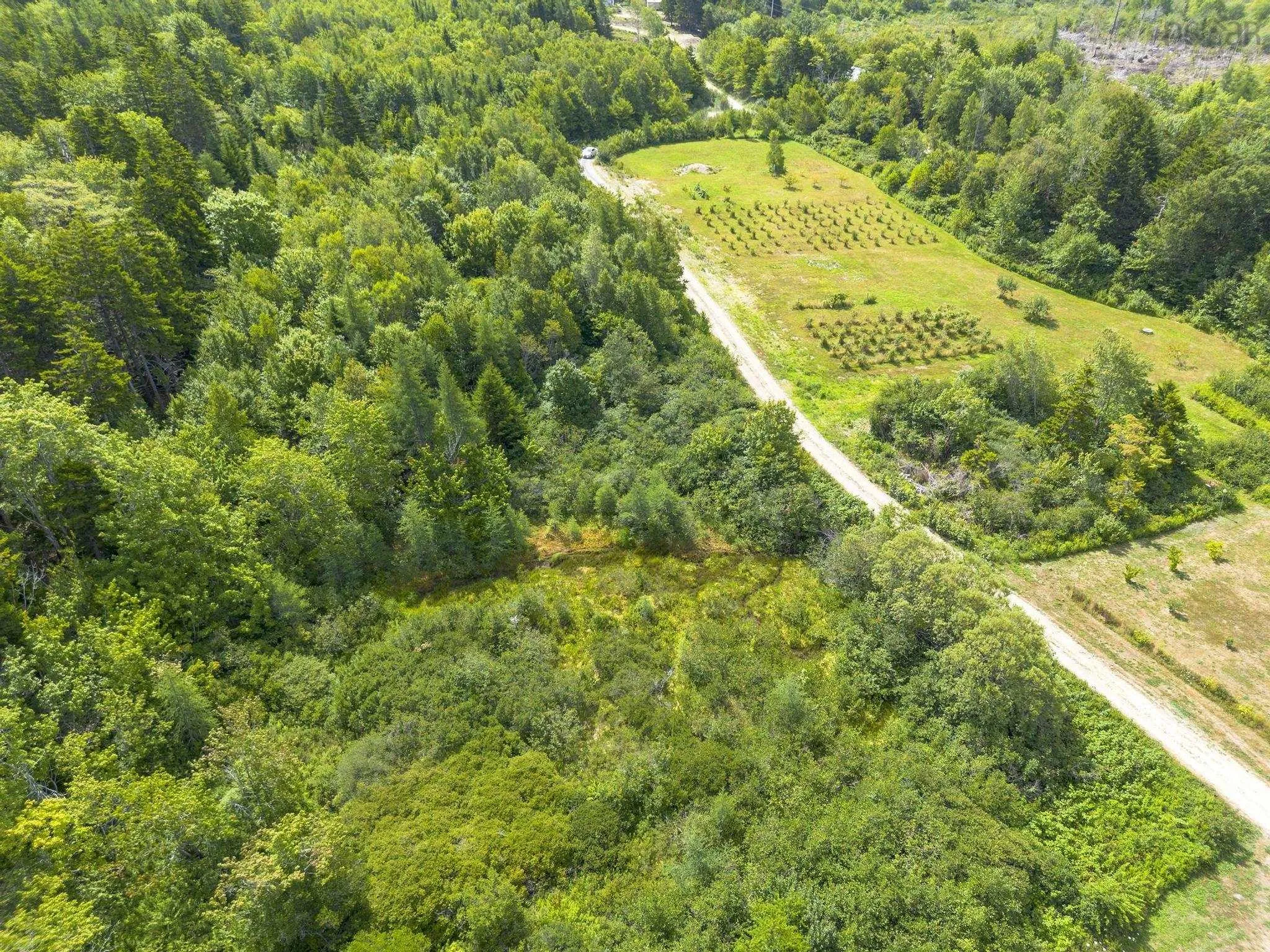 Oakridge Road, Church Point Ns B0w 2z0, ,Land,For Sale,Oakridge,202506386