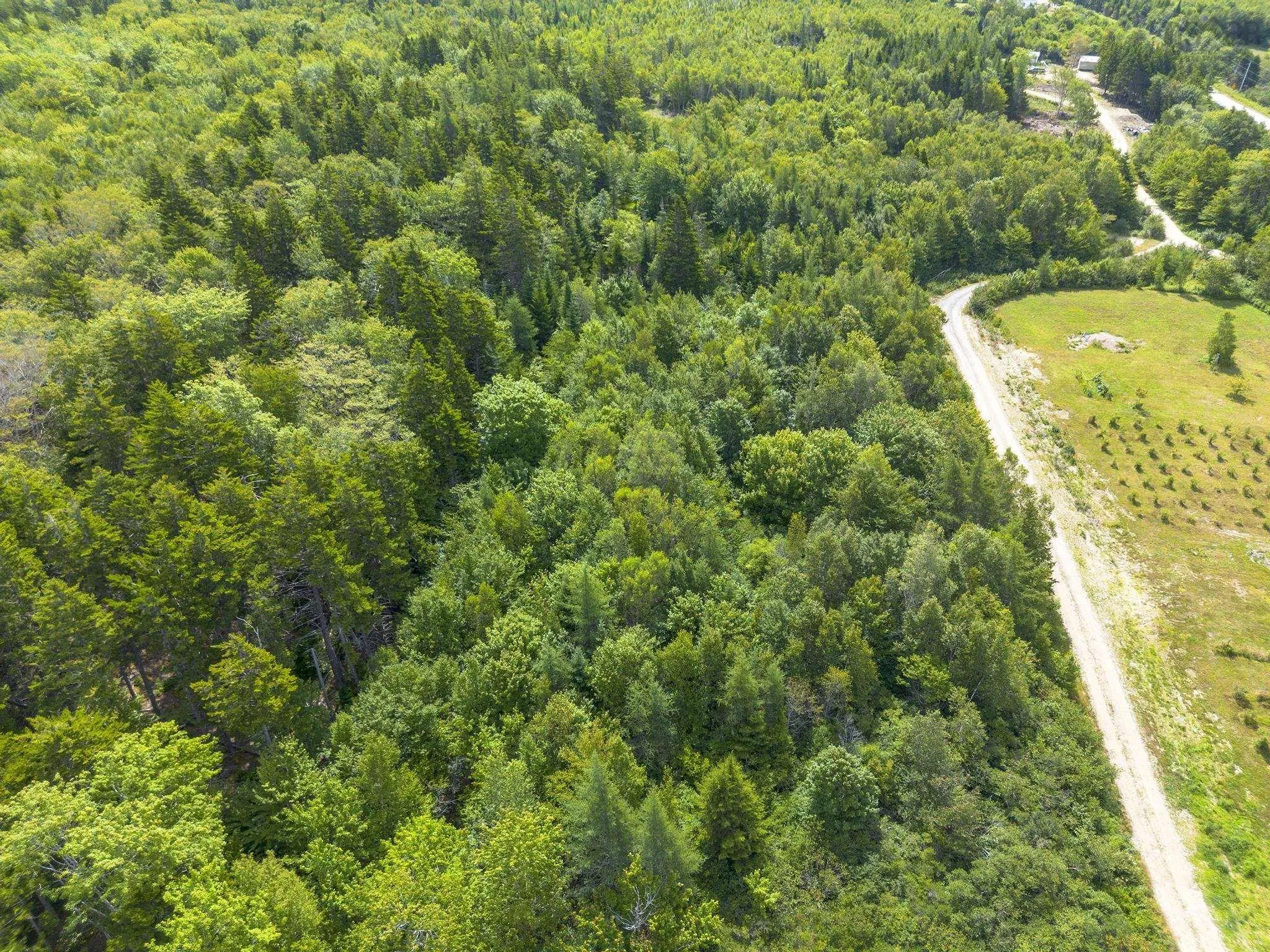 Oakridge Road, Church Point Ns B0w 2z0, ,Land,For Sale,Oakridge,202506386