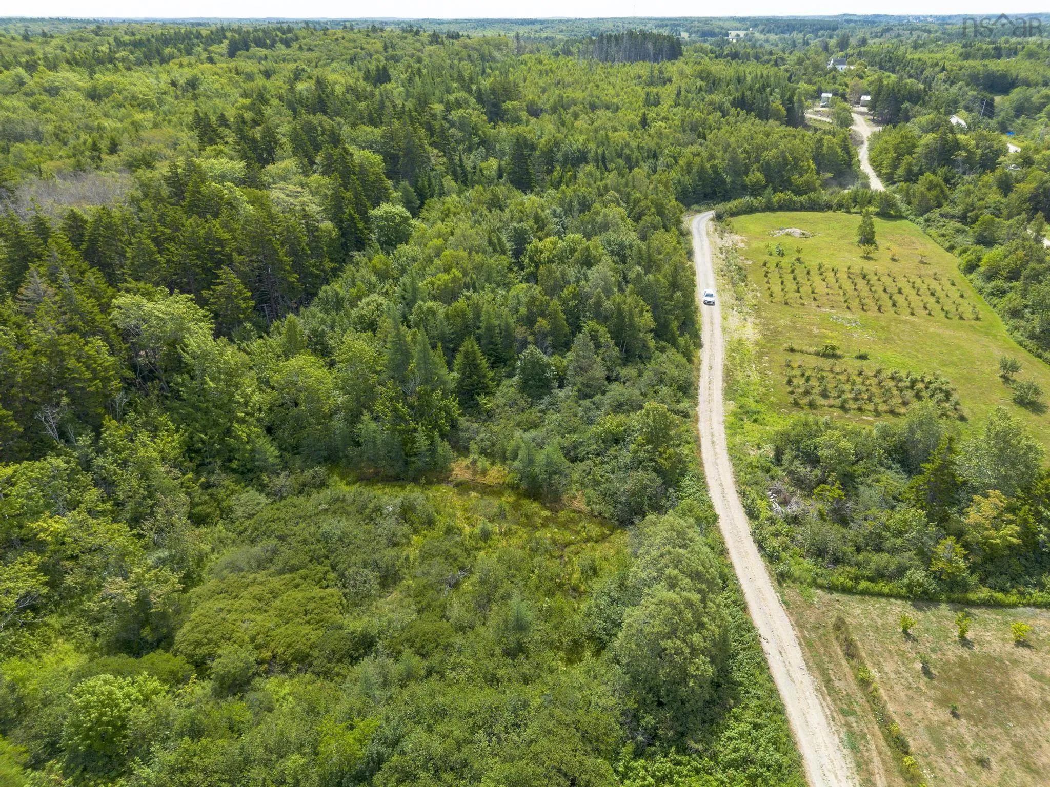 Oakridge Road, Church Point Ns B0w 2z0, ,Land,For Sale,Oakridge,202506386