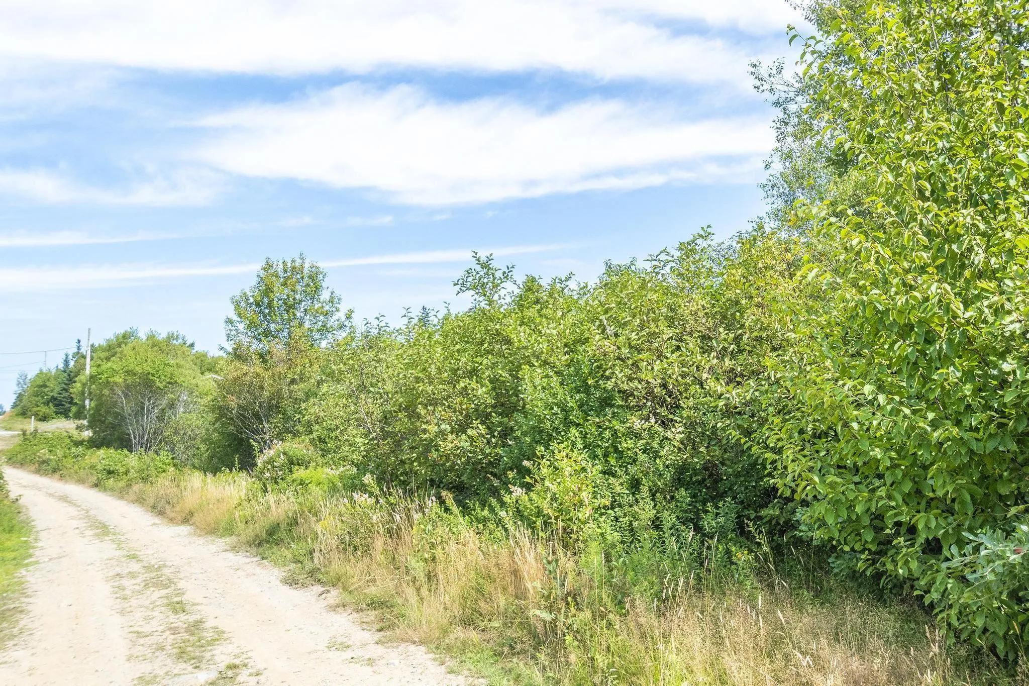 Oakridge Road, Church Point Ns B0w 2z0, ,Land,For Sale,Oakridge,202506386