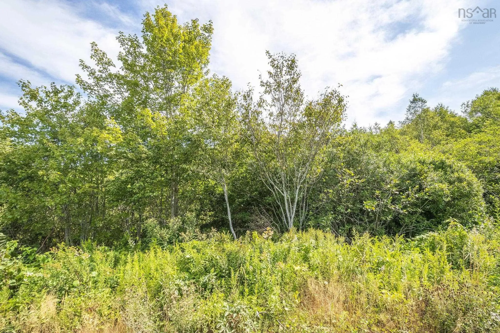 Oakridge Road, Church Point Ns B0w 2z0, ,Land,For Sale,Oakridge,202506386