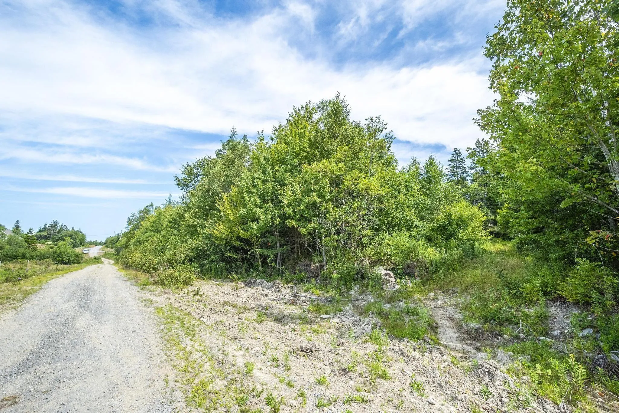 Oakridge Road, Church Point Ns B0w 2z0, ,Land,For Sale,Oakridge,202506386