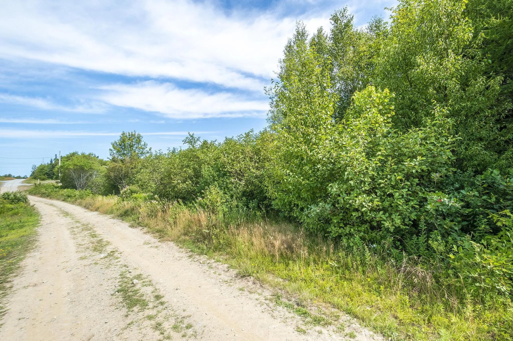 Oakridge Road, Church Point Ns B0w 2z0, ,Land,For Sale,Oakridge,202506386