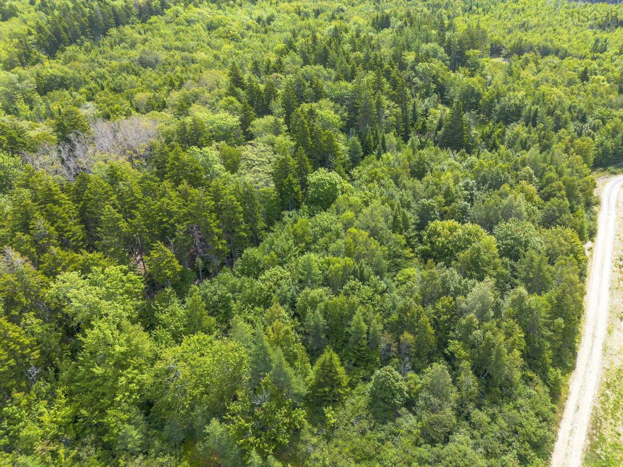 Oakridge Road, Church Point Ns B0w 2z0, ,Land,For Sale,Oakridge,202506386