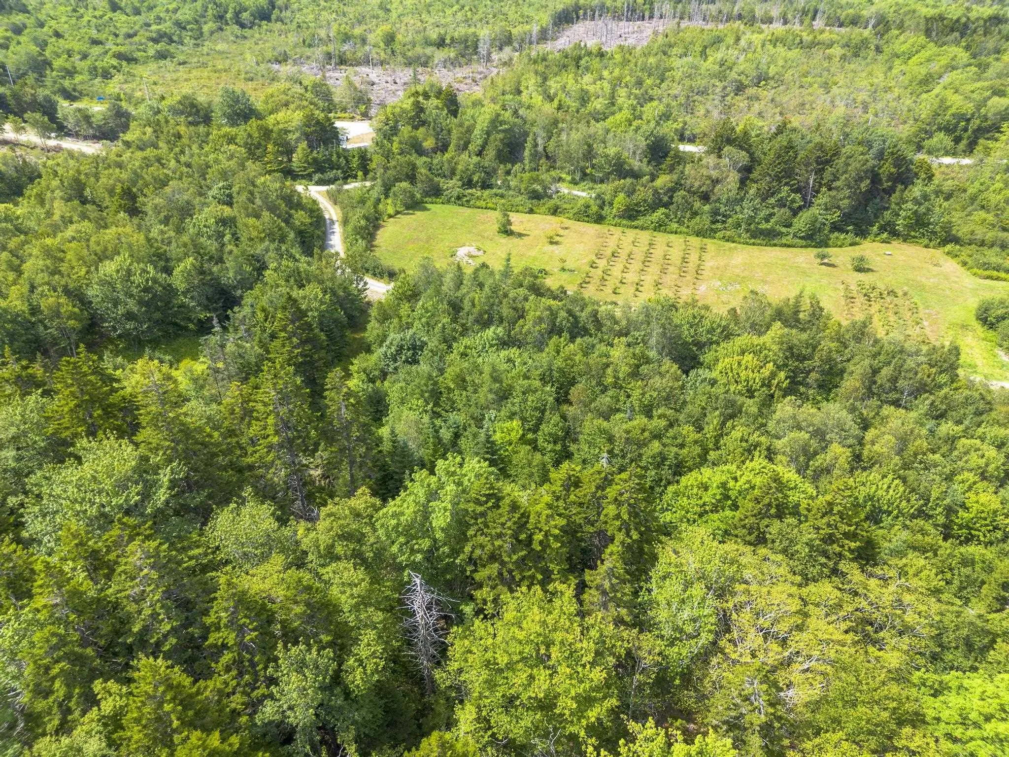 Oakridge Road, Church Point Ns B0w 2z0, ,Land,For Sale,Oakridge,202506386