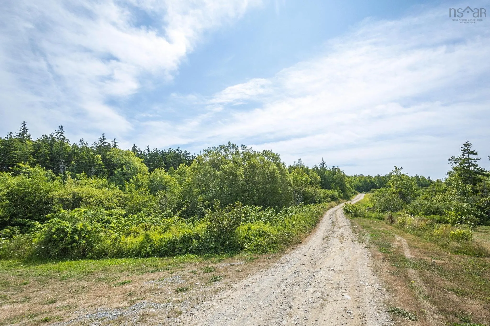 Oakridge Road, Church Point Ns B0w 2z0, ,Land,For Sale,Oakridge,202506386