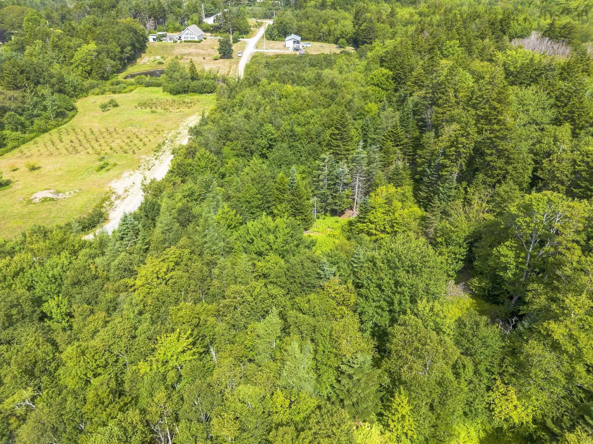 Oakridge Road, Church Point Ns B0w 2z0, ,Land,For Sale,Oakridge,202506386