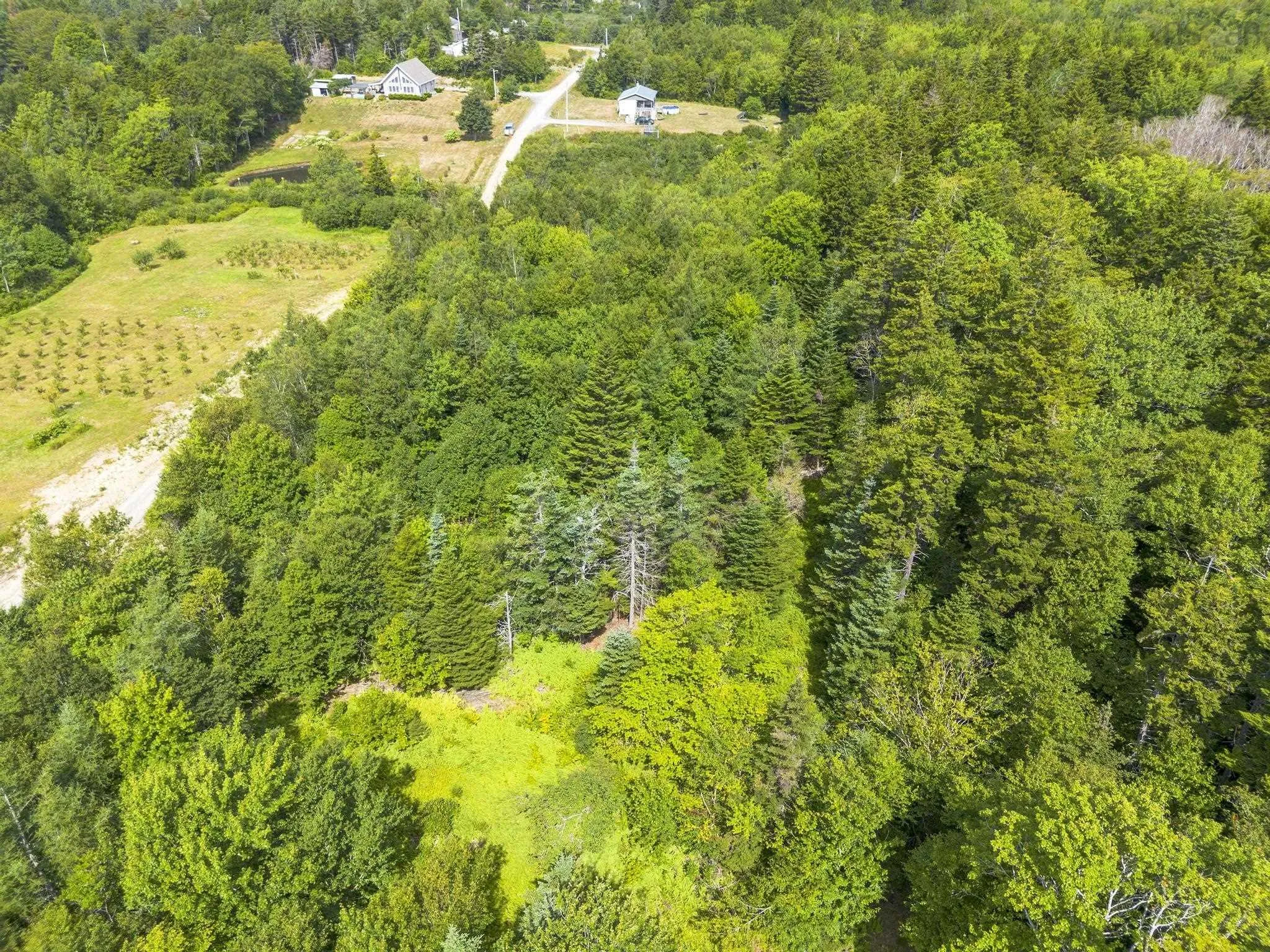 Oakridge Road, Church Point Ns B0w 2z0, ,Land,For Sale,Oakridge,202506386