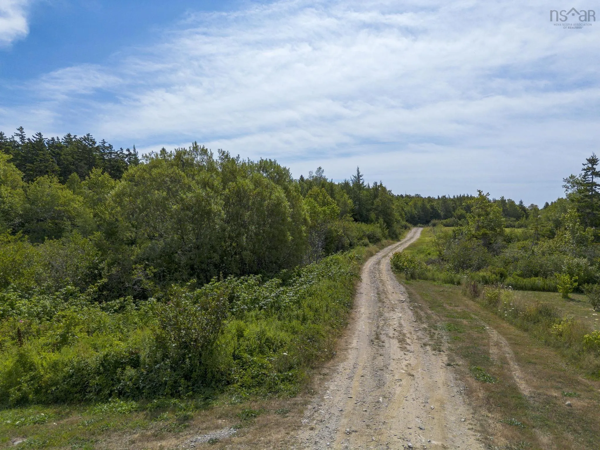 Oakridge Road, Church Point Ns B0w 2z0, ,Land,For Sale,Oakridge,202506386