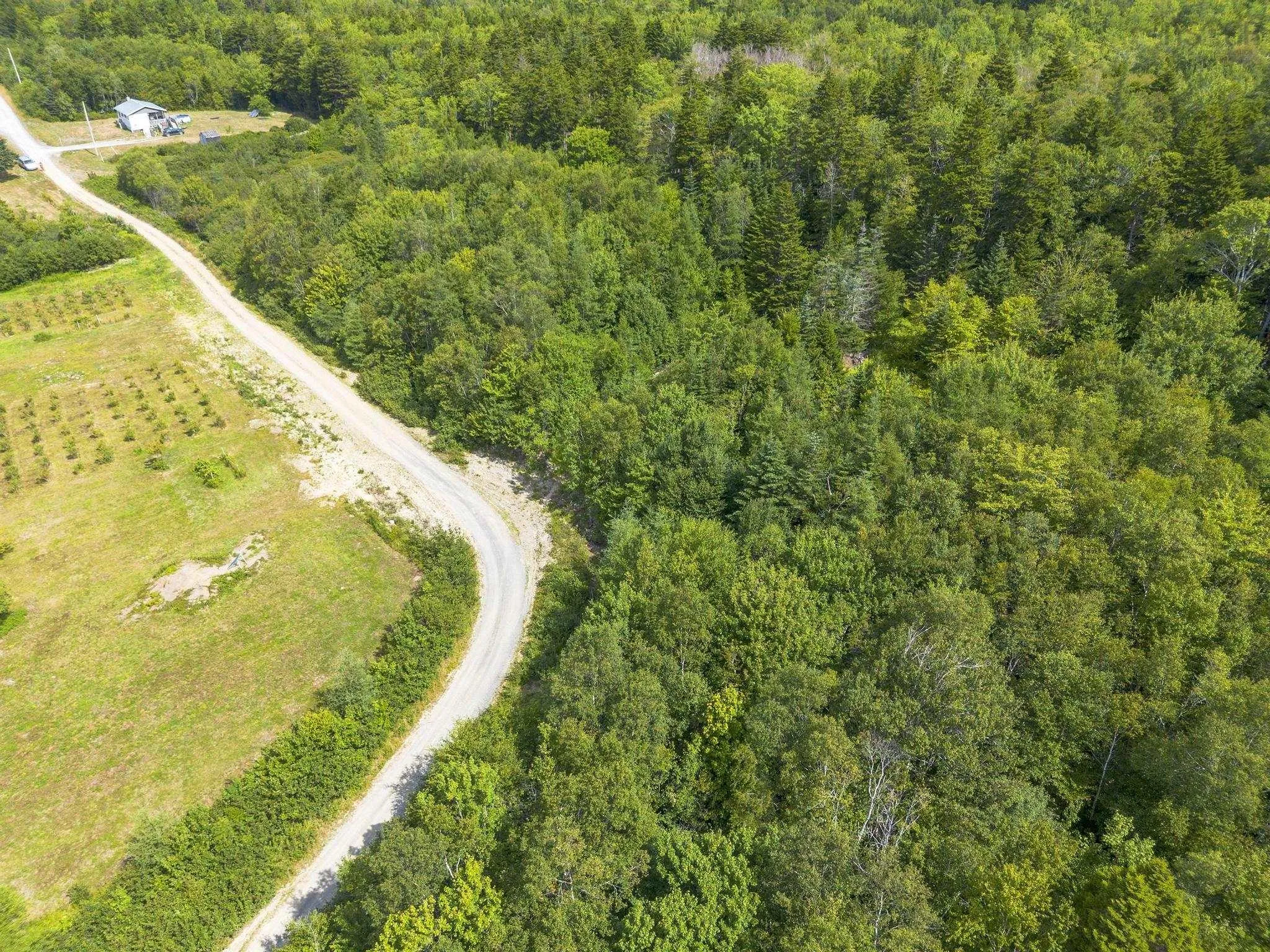 Oakridge Road, Church Point Ns B0w 2z0, ,Land,For Sale,Oakridge,202506386