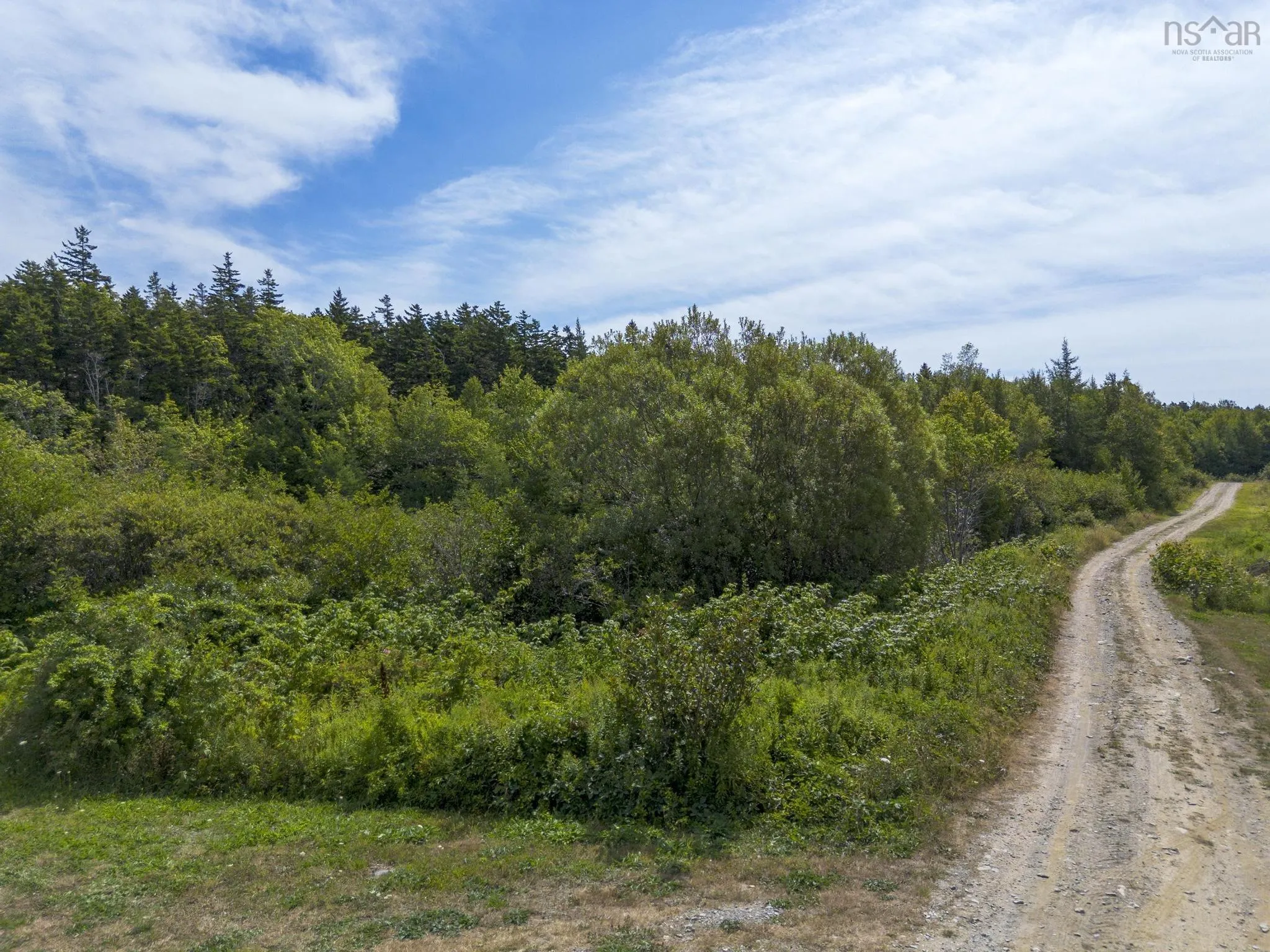 Oakridge Road, Church Point Ns B0w 2z0, ,Land,For Sale,Oakridge,202506386