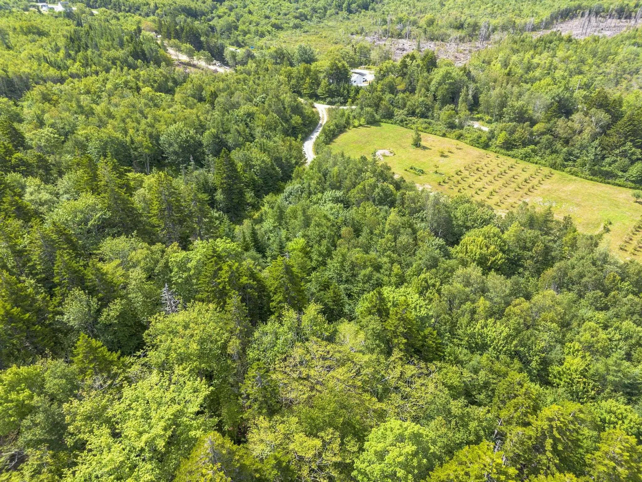 Oakridge Road, Church Point Ns B0w 2z0, ,Land,For Sale,Oakridge,202506386