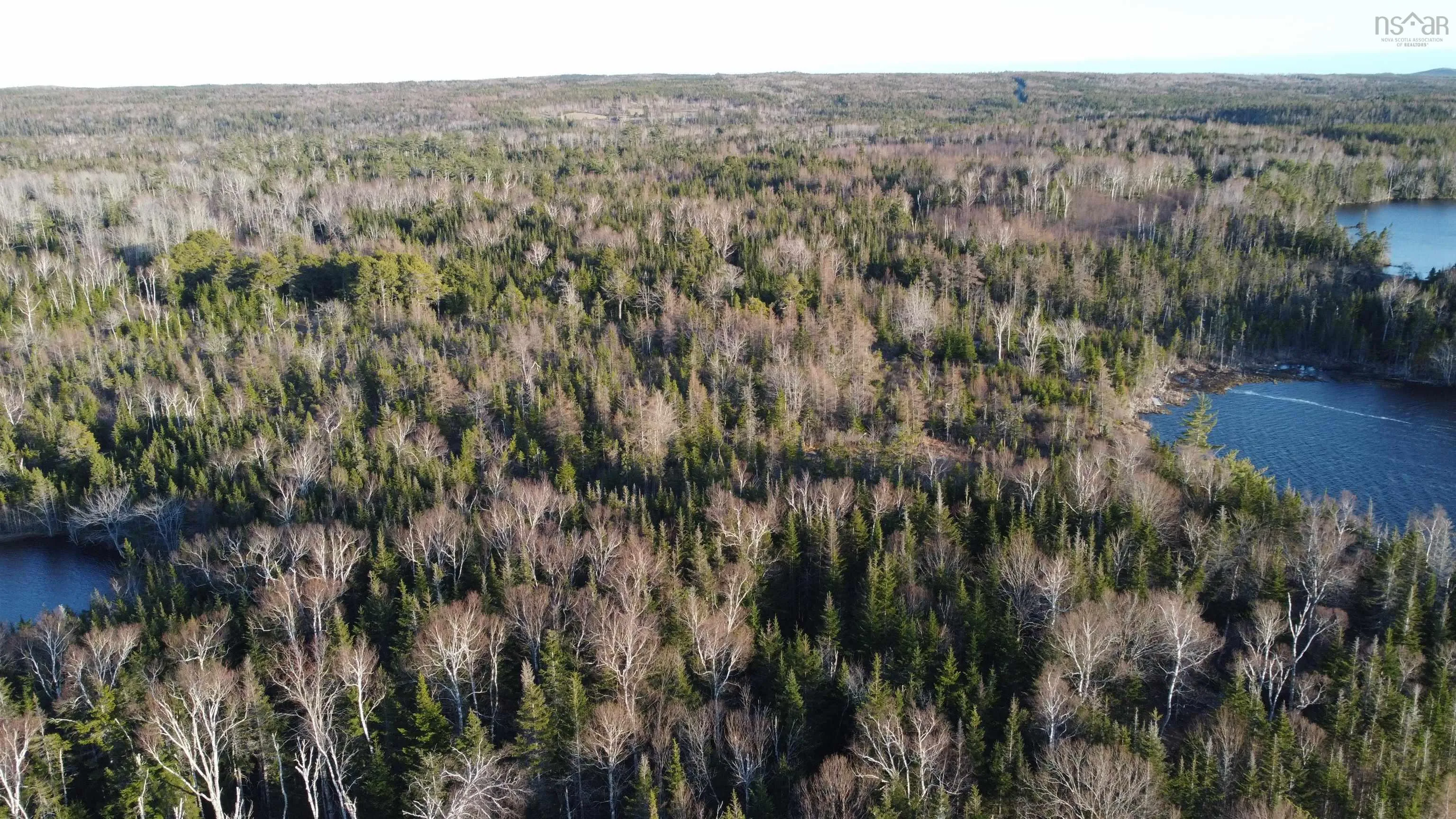 Shieling Drive Lot 25, Marion Bridge Ns B1k 0b3, ,Land,For Sale,Shieling,202424586
