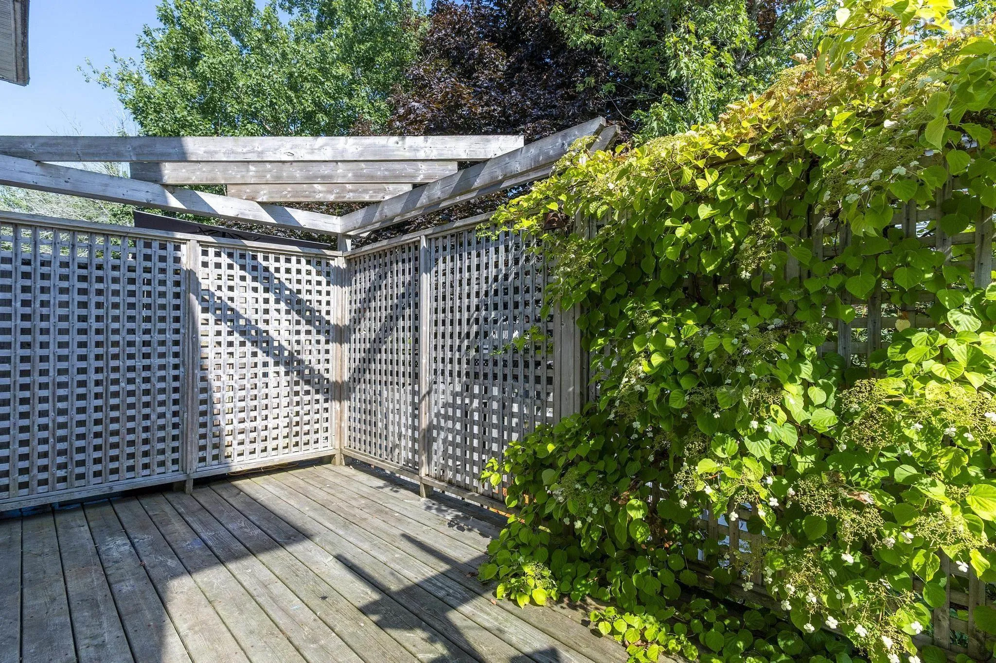 18 Anahid Court, Bedford, NS B4A 3X2, 3 Bedrooms Bedrooms, ,3 BathroomsBathrooms,Residential,For Sale,Anahid,202520547