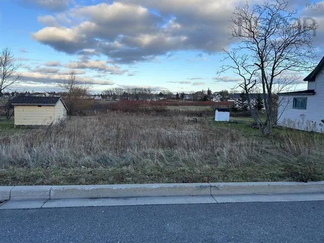 31 Guy Street, Sydney Mines Ns B1v 2n5, ,Land,For Sale,Guy,202509308