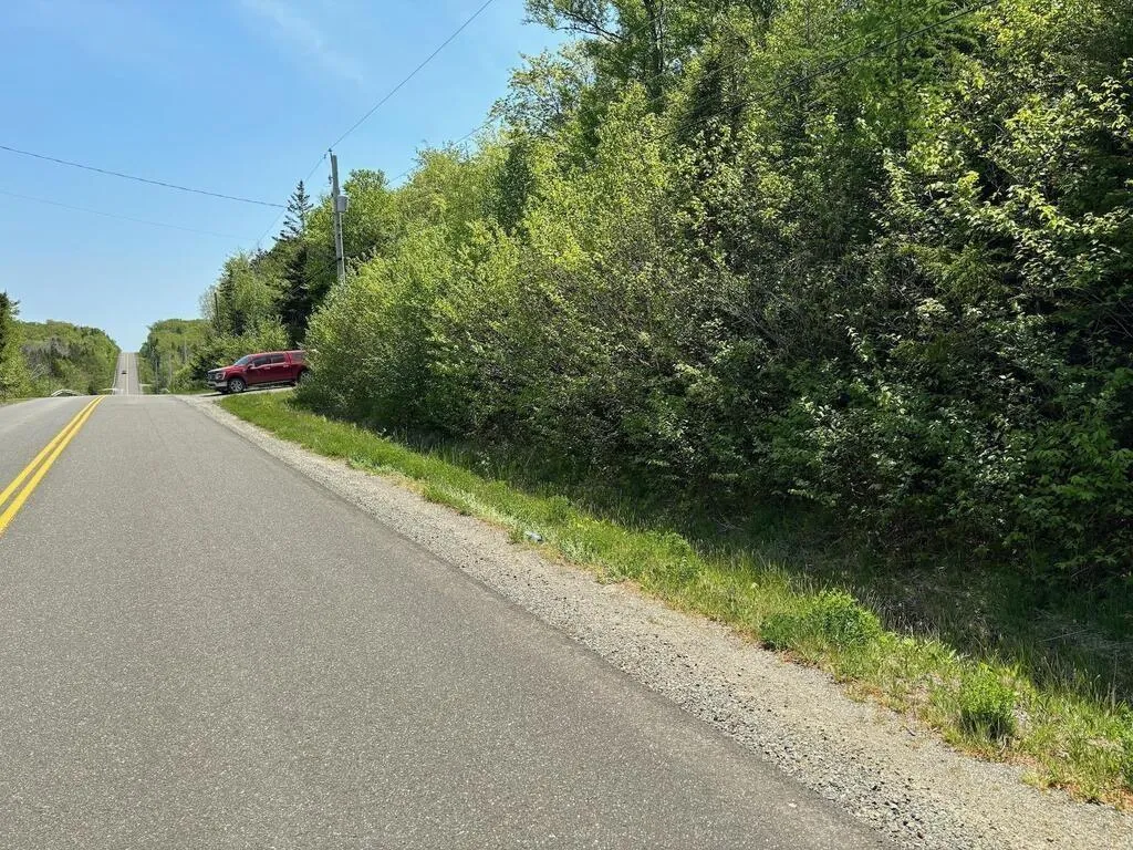 0 Bonnie Road, St. Martin Ns B5a 5b2, ,Land,For Sale,Bonnie,202426744