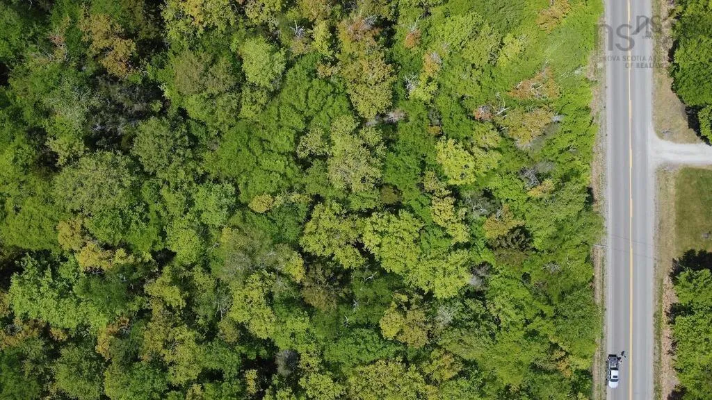 0 Bonnie Road, St. Martin Ns B5a 5b2, ,Land,For Sale,Bonnie,202426744