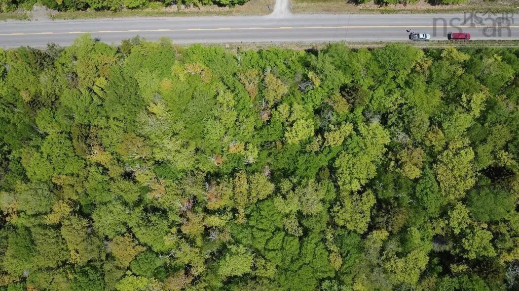 0 Bonnie Road, St. Martin Ns B5a 5b2, ,Land,For Sale,Bonnie,202426744