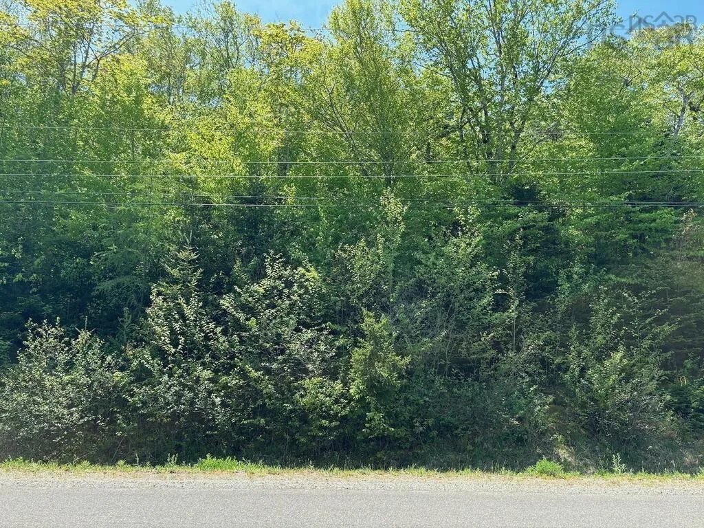 0 Bonnie Road, St. Martin Ns B5a 5b2, ,Land,For Sale,Bonnie,202426744