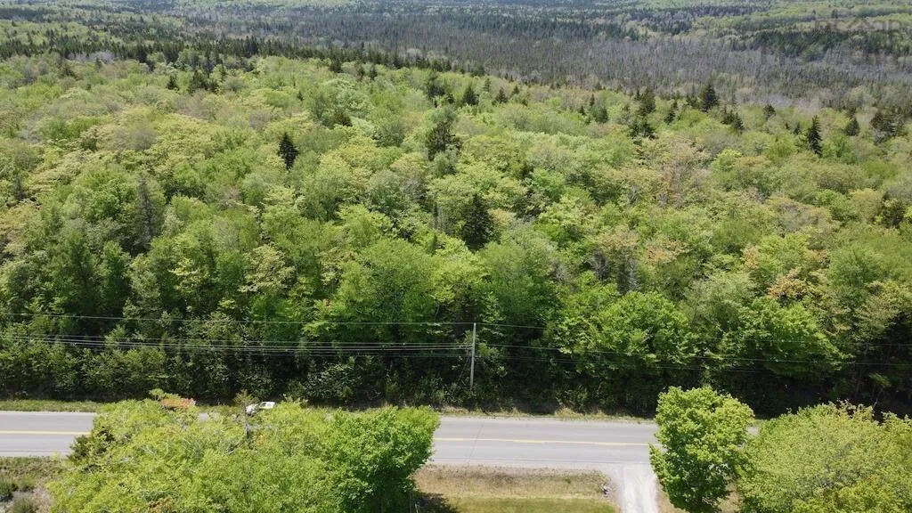0 Bonnie Road, St. Martin Ns B5a 5b2, ,Land,For Sale,Bonnie,202426744