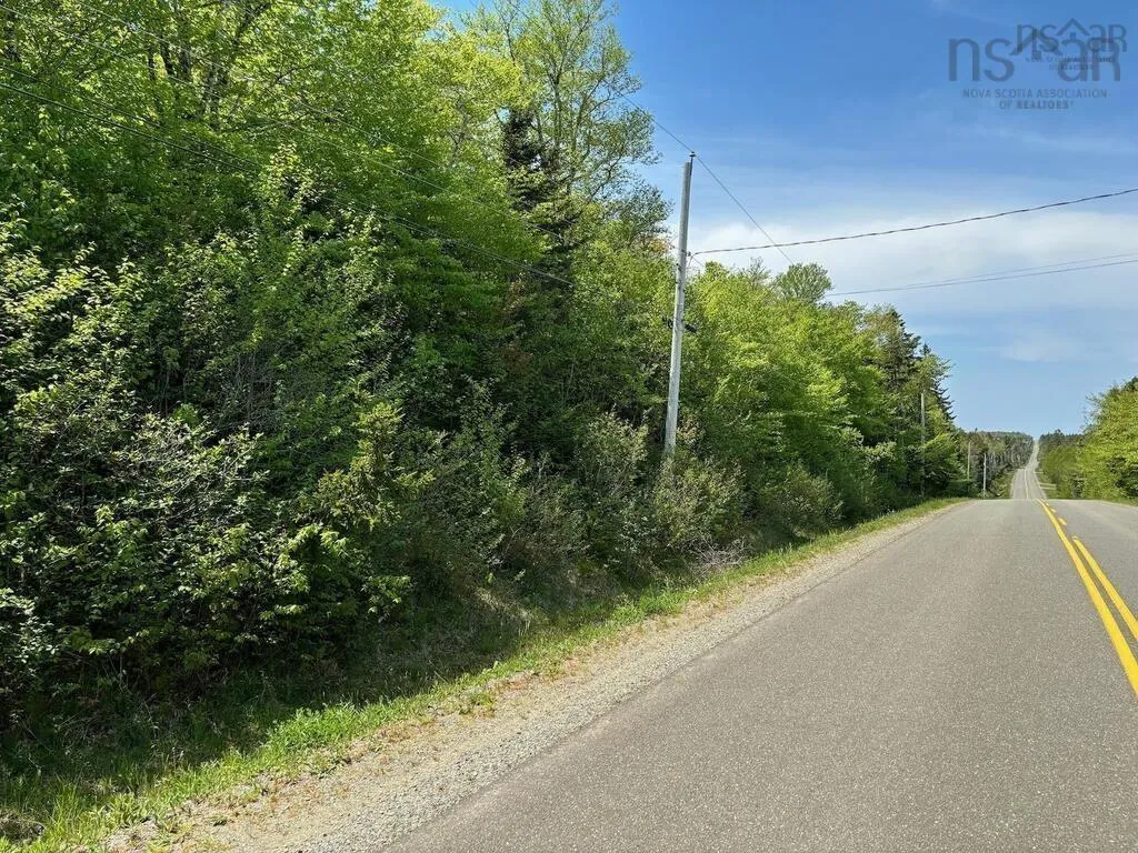 0 Bonnie Road, St. Martin Ns B5a 5b2, ,Land,For Sale,Bonnie,202426744