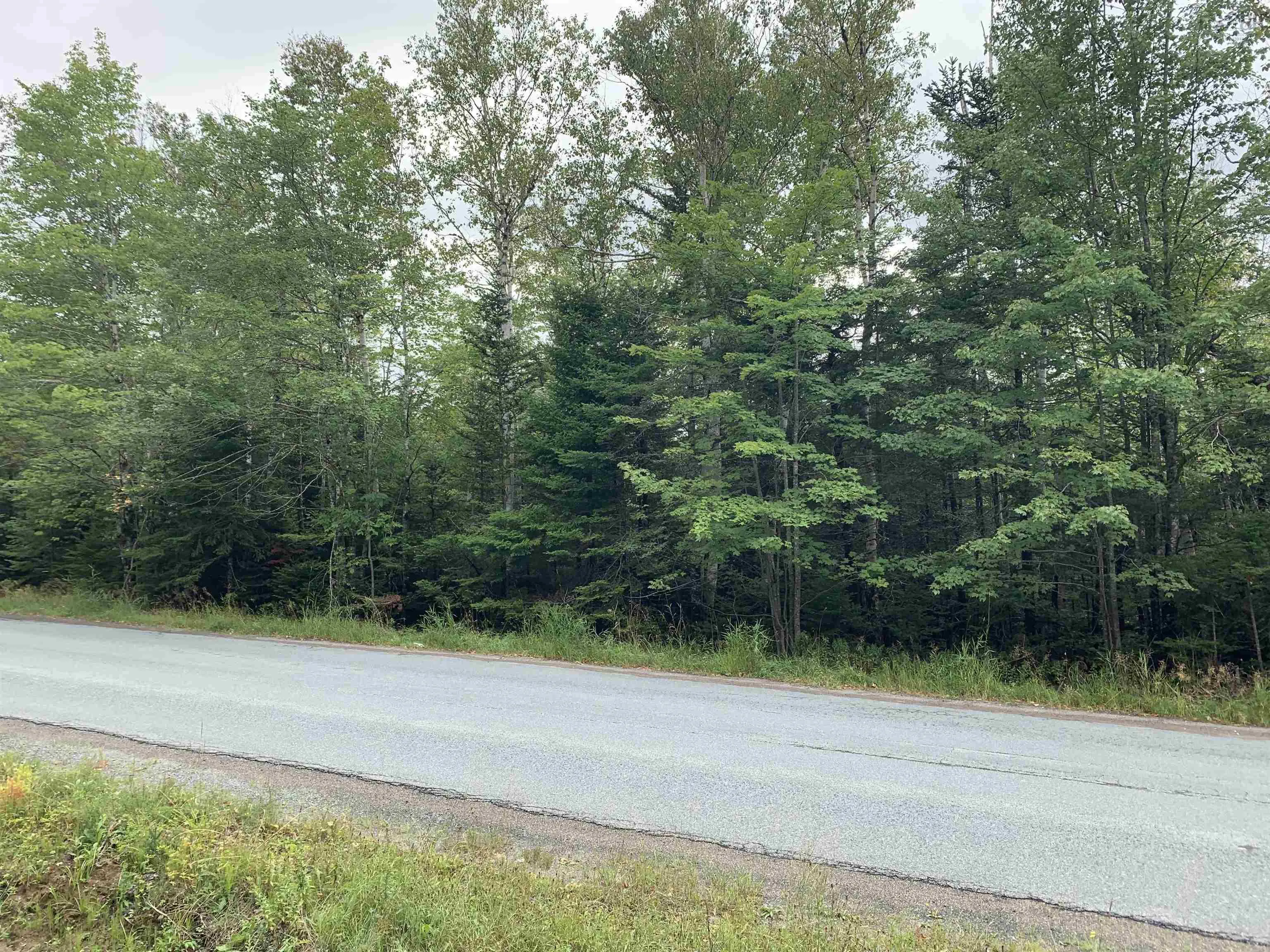 179 Sibley Road, Middle Musquodoboit, NS B0N 1X0, ,Land,For Sale,Sibley,202521685