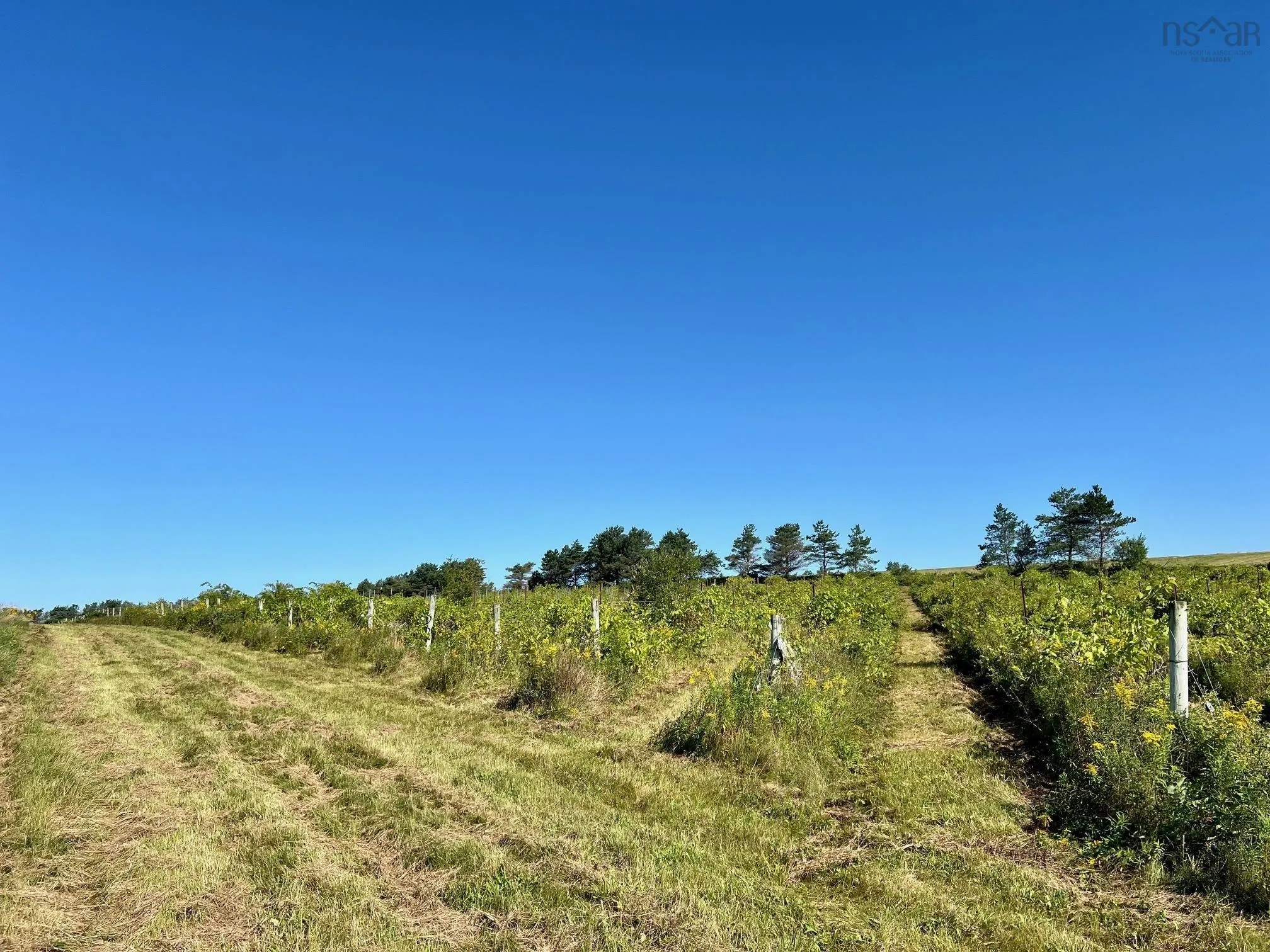 215-6055 Highway 215, Kempt Shore Ns B0n 2a0, ,Land,For Sale,Highway 215,202420570
