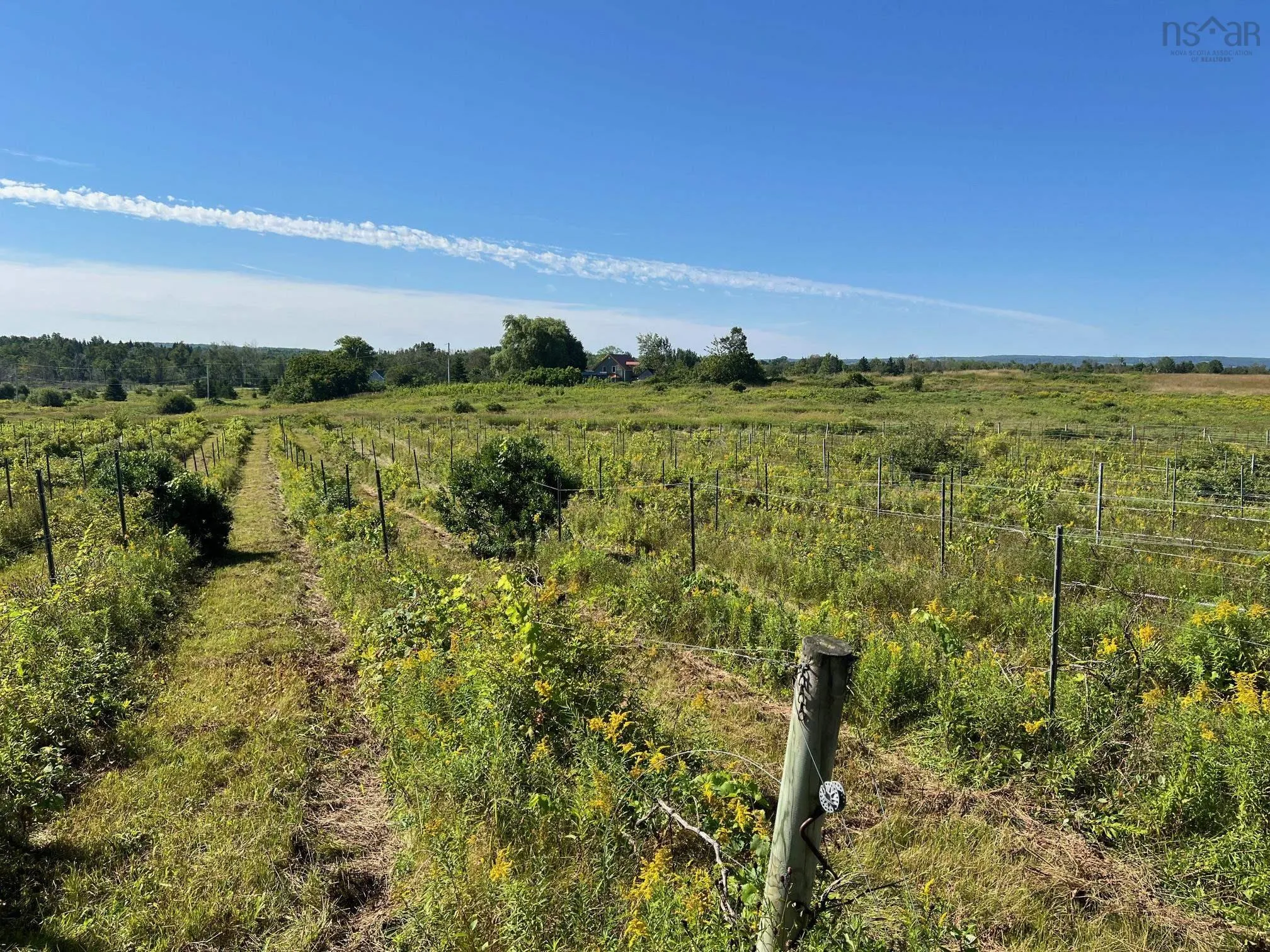 215-6055 Highway 215, Kempt Shore Ns B0n 2a0, ,Land,For Sale,Highway 215,202420570