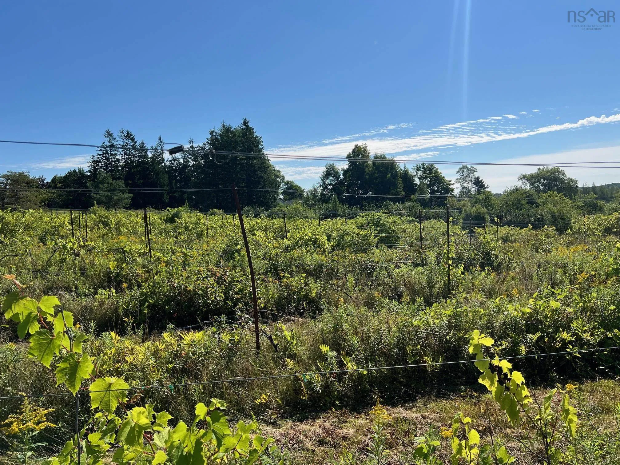 215-6055 Highway 215, Kempt Shore Ns B0n 2a0, ,Land,For Sale,Highway 215,202420570