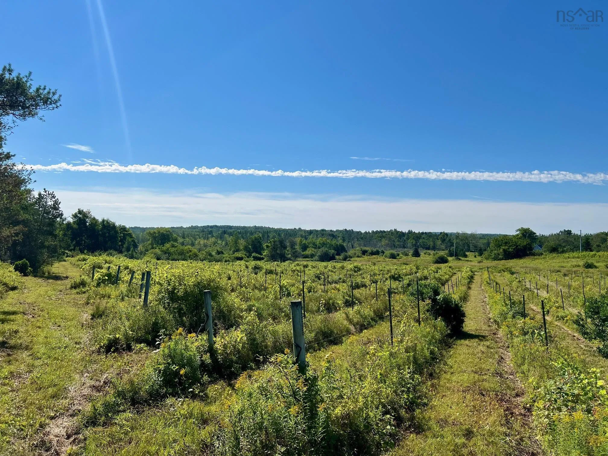215-6055 Highway 215, Kempt Shore Ns B0n 2a0, ,Land,For Sale,Highway 215,202420570