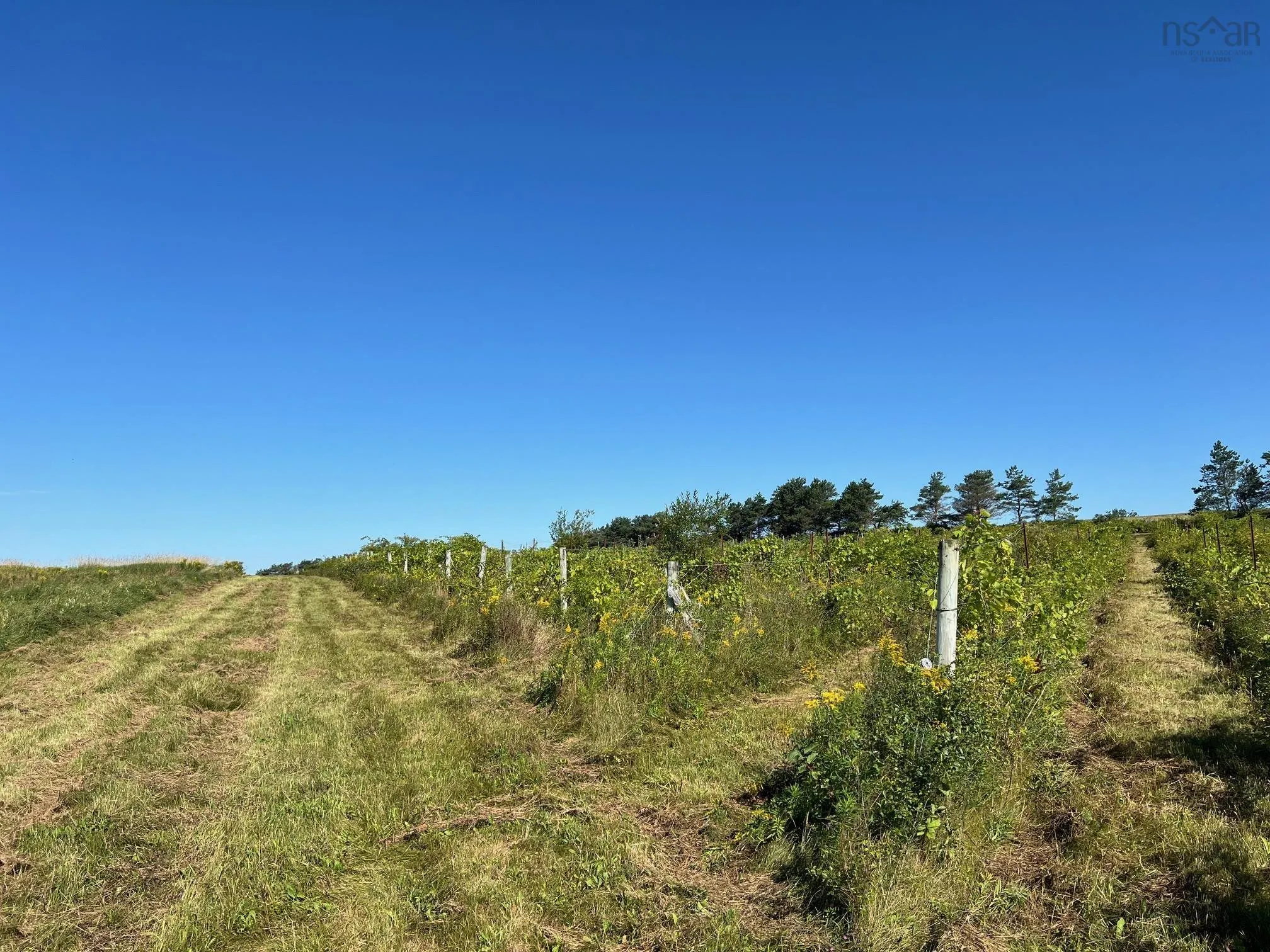 215-6055 Highway 215, Kempt Shore Ns B0n 2a0, ,Land,For Sale,Highway 215,202420570