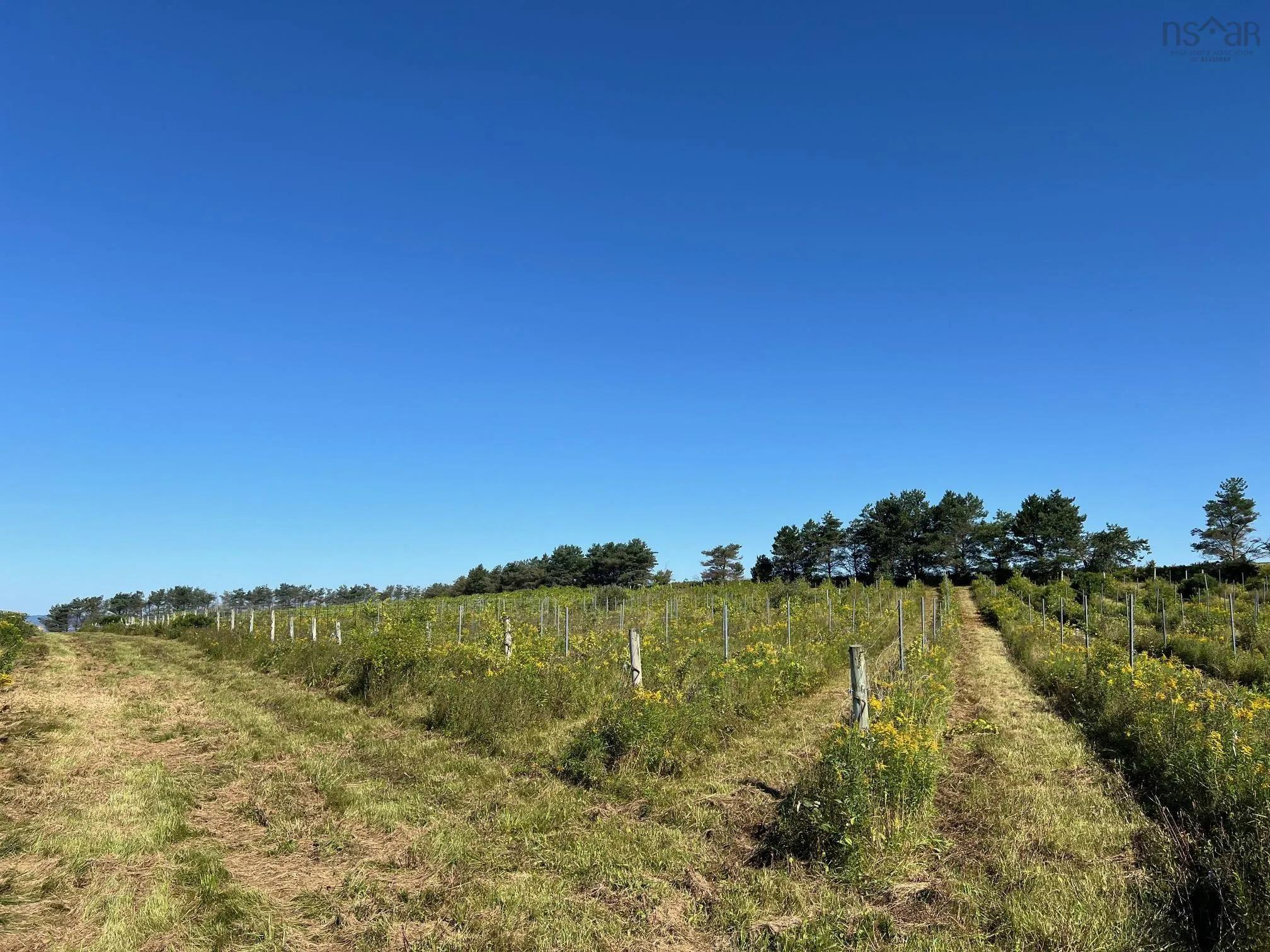 215-6055 Highway 215, Kempt Shore Ns B0n 2a0, ,Land,For Sale,Highway 215,202420570