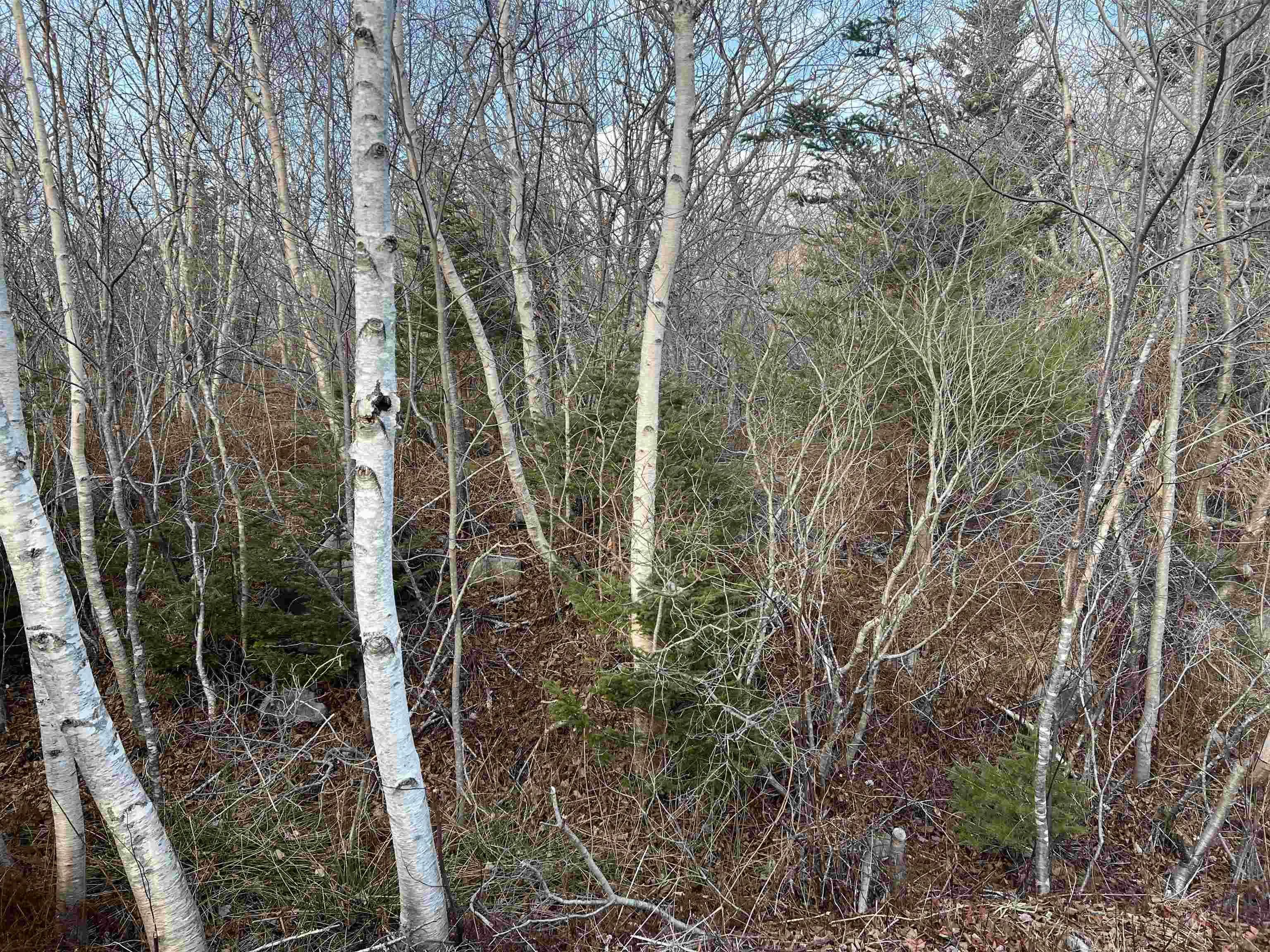 Mackeral Rock Road Lot 3, Sandy Point Ns B0t 1w0, ,Land,For Sale,Mackeral Rock,202510332