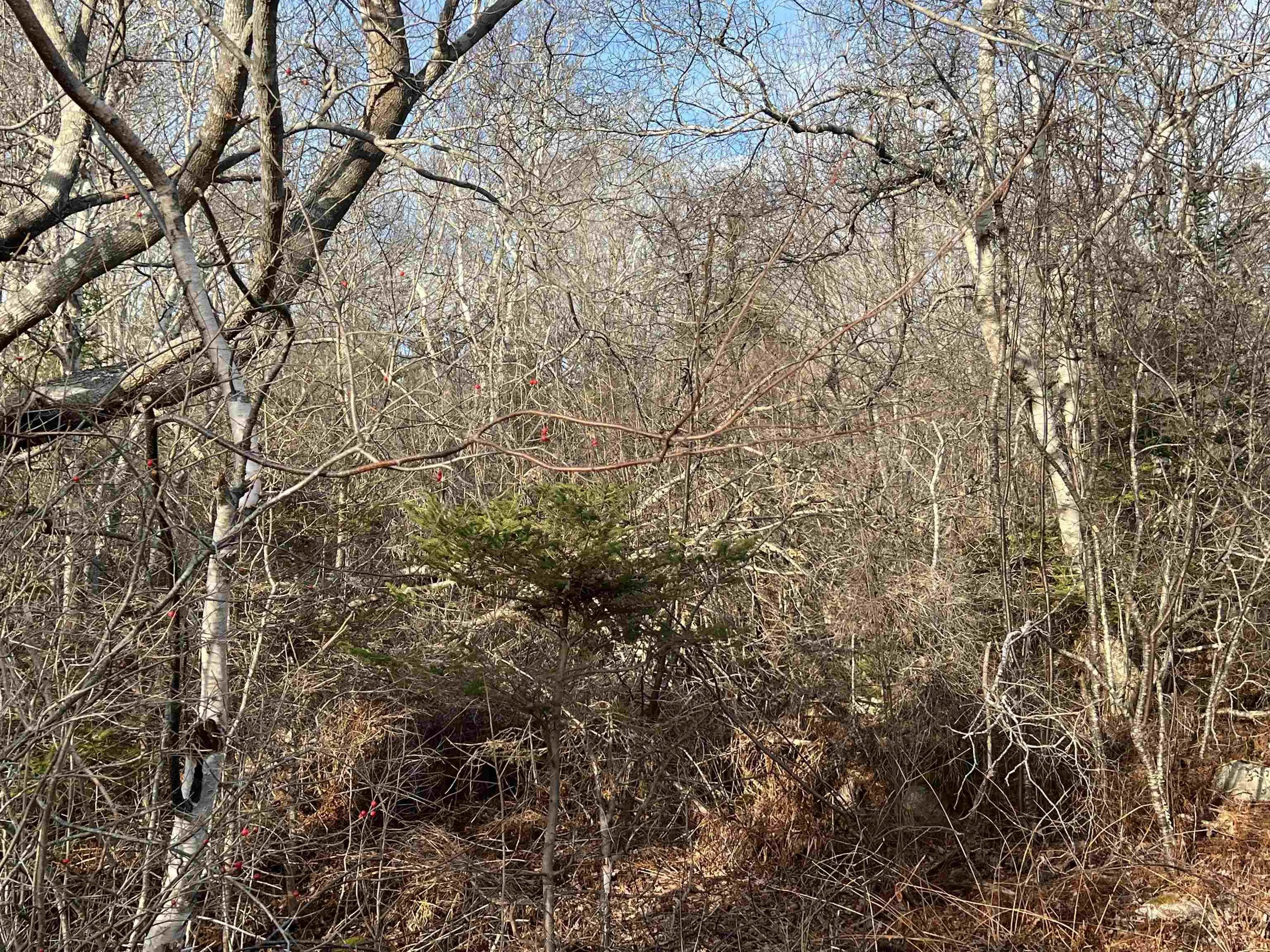 Mackeral Rock Road Lot 3, Sandy Point Ns B0t 1w0, ,Land,For Sale,Mackeral Rock,202510332