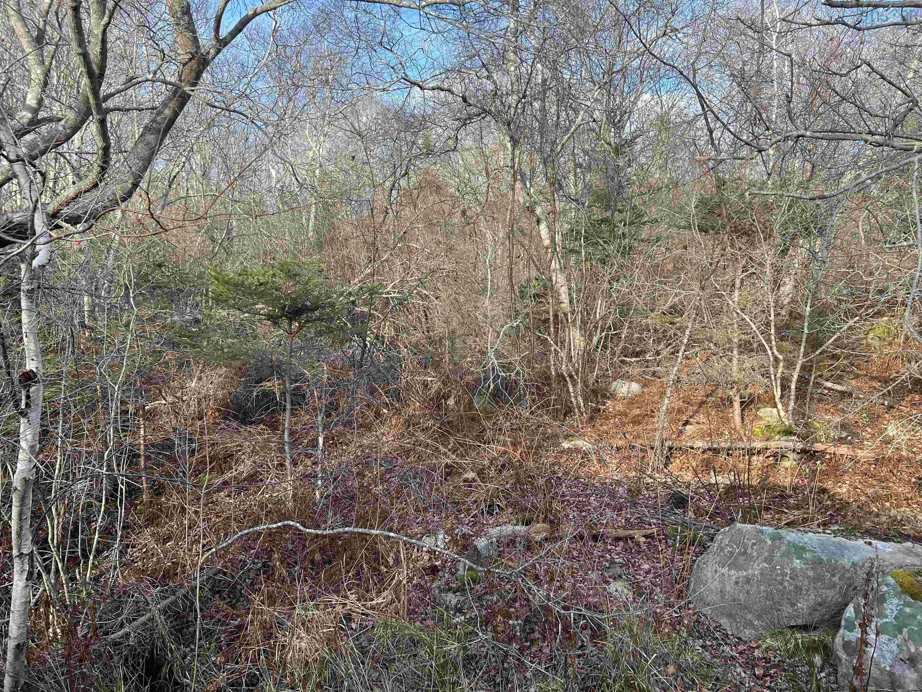 Mackeral Rock Road Lot 3, Sandy Point Ns B0t 1w0, ,Land,For Sale,Mackeral Rock,202510332