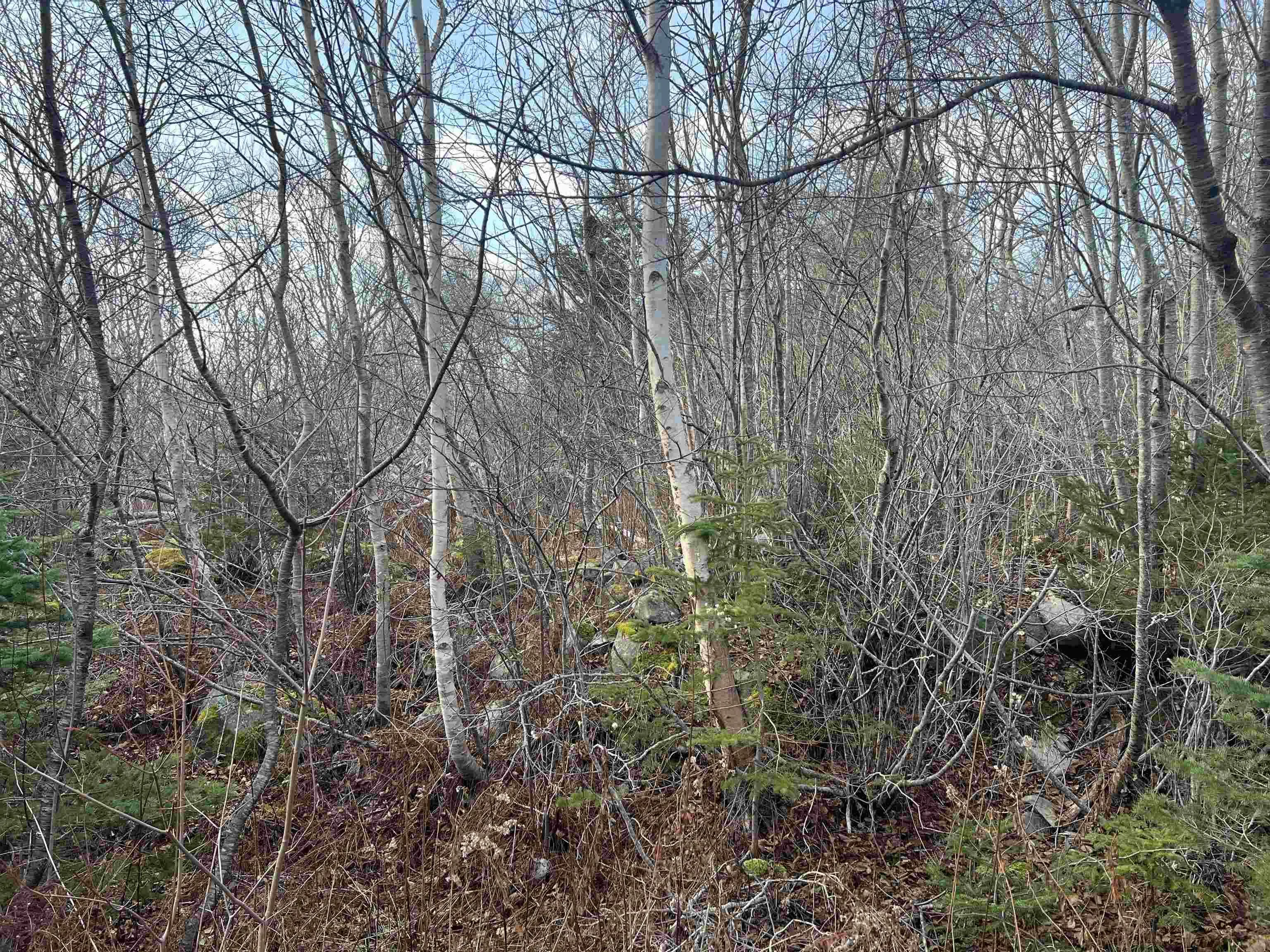 Mackeral Rock Road Lot 3, Sandy Point Ns B0t 1w0, ,Land,For Sale,Mackeral Rock,202510332