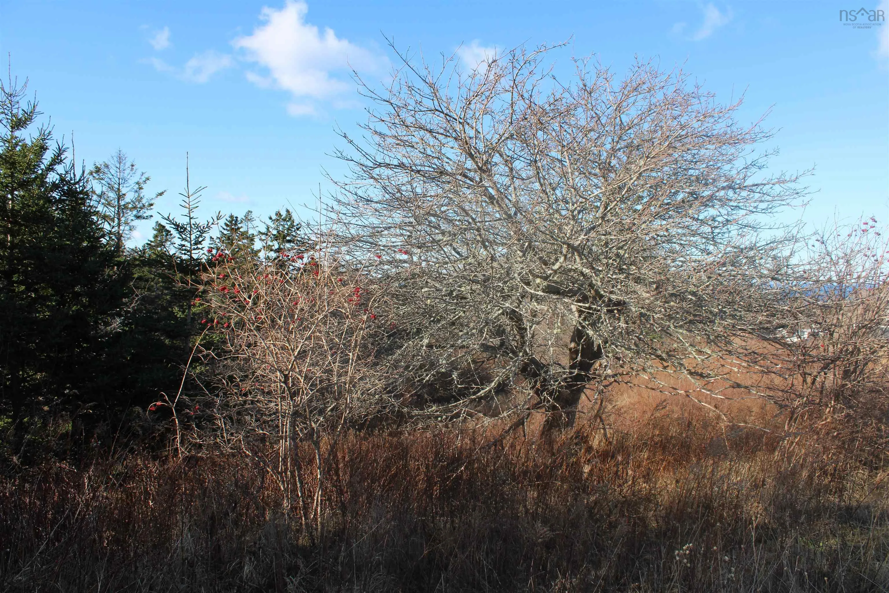9230 St Croix Cove Road, St. Croix Ns B0s 1l0, ,Land,For Sale,St Croix Cove,202428243