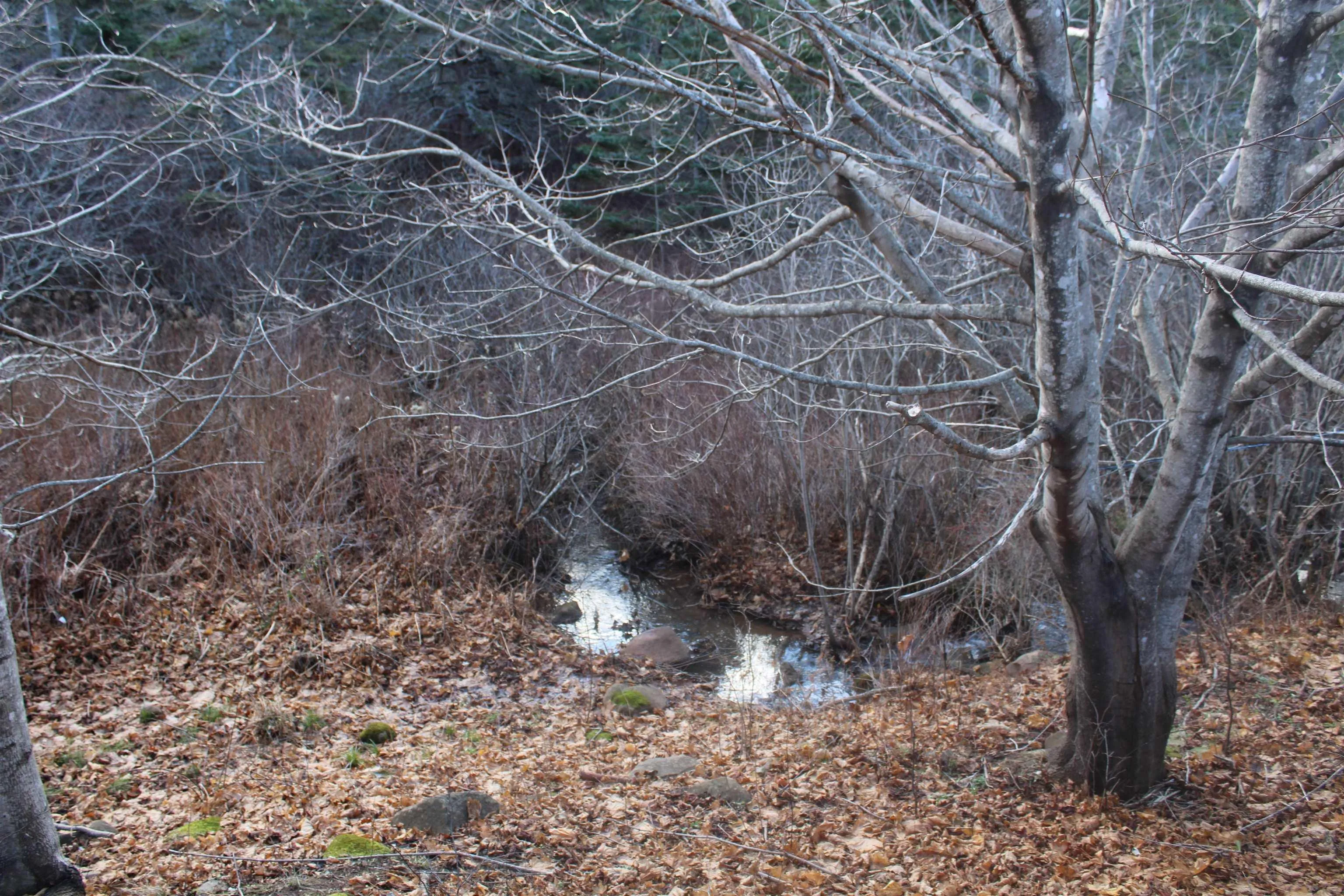 9230 St Croix Cove Road, St. Croix Ns B0s 1l0, ,Land,For Sale,St Croix Cove,202428243