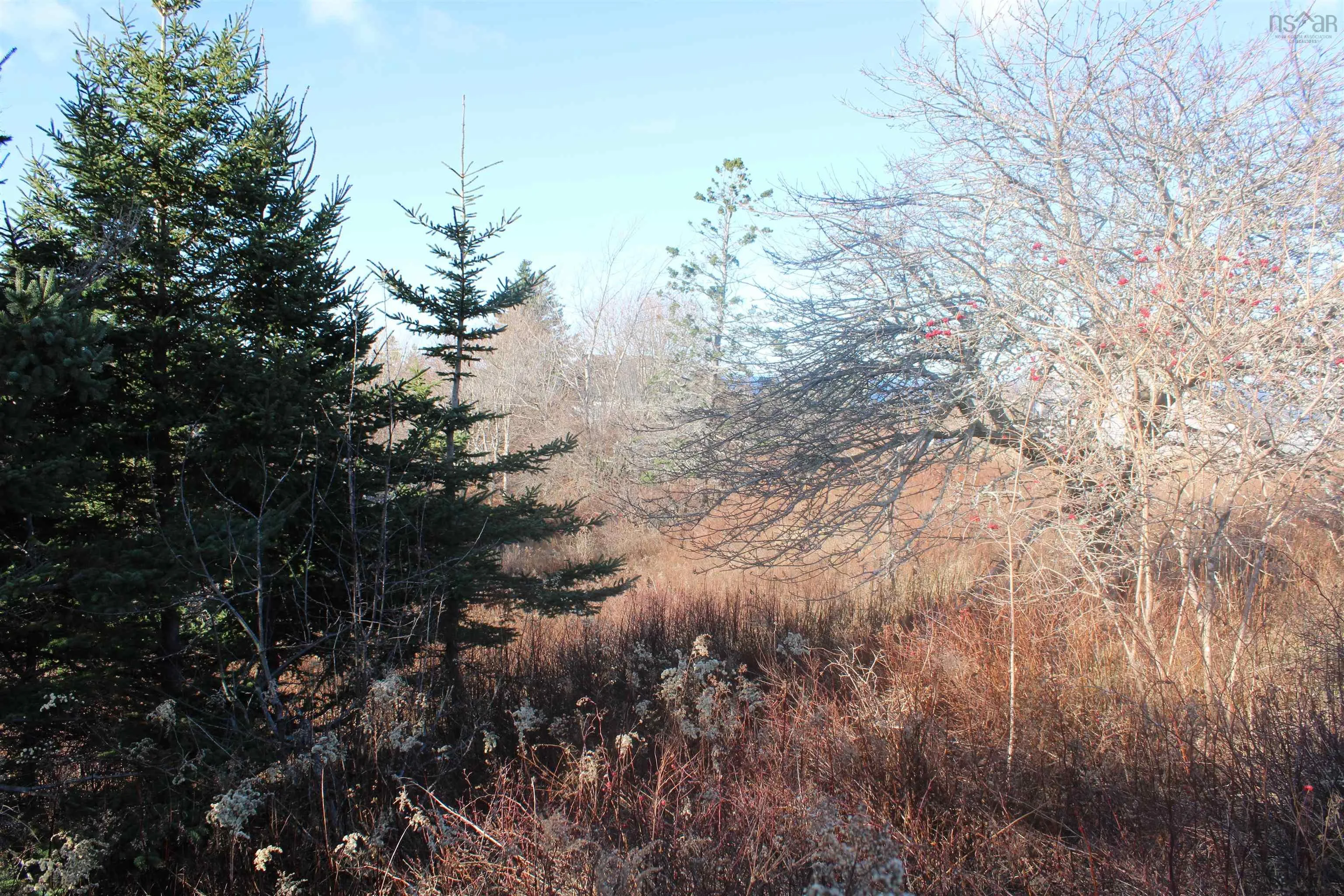 9230 St Croix Cove Road, St. Croix Ns B0s 1l0, ,Land,For Sale,St Croix Cove,202428243
