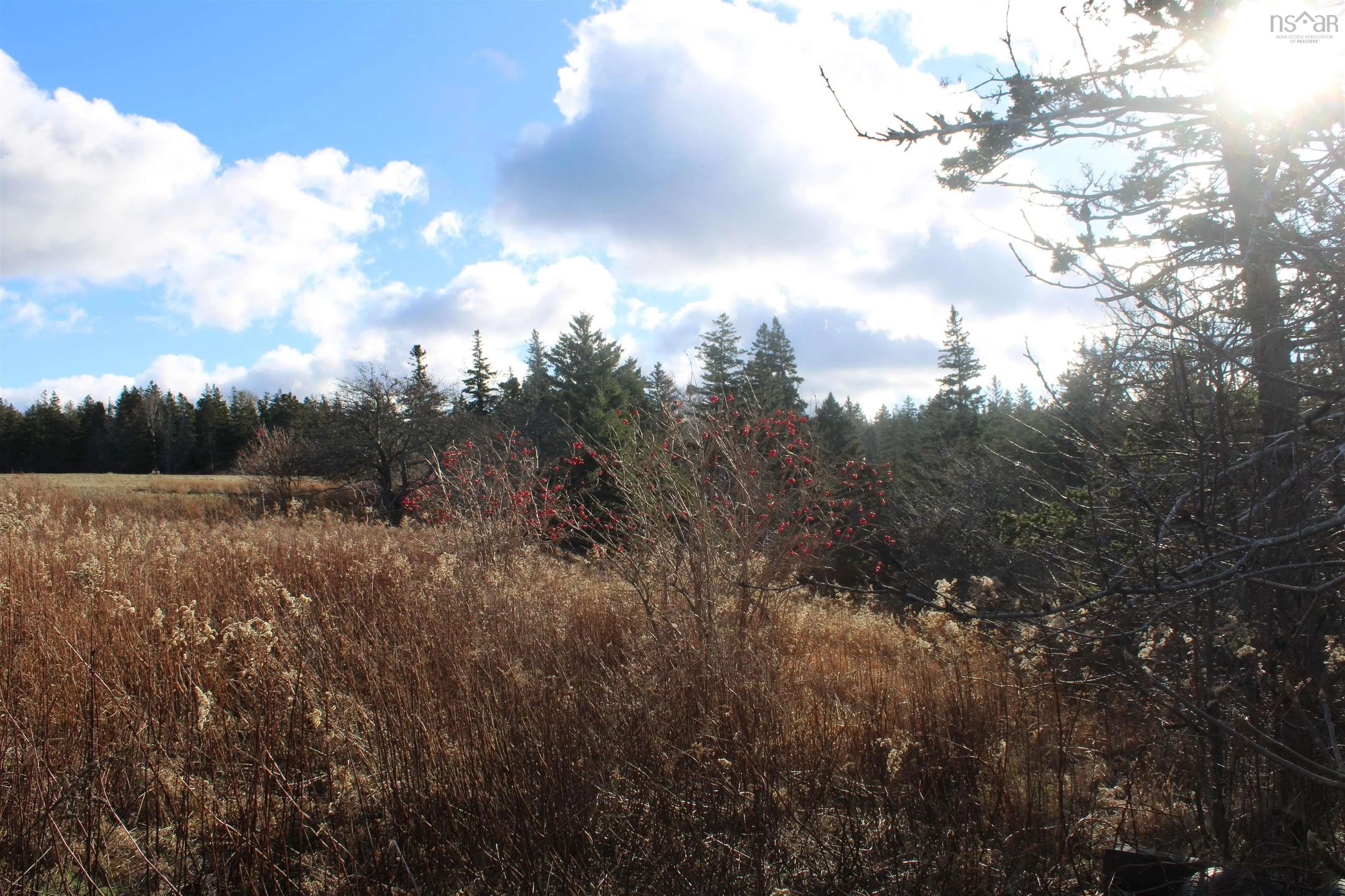 9230 St Croix Cove Road, St. Croix Ns B0s 1l0, ,Land,For Sale,St Croix Cove,202428243