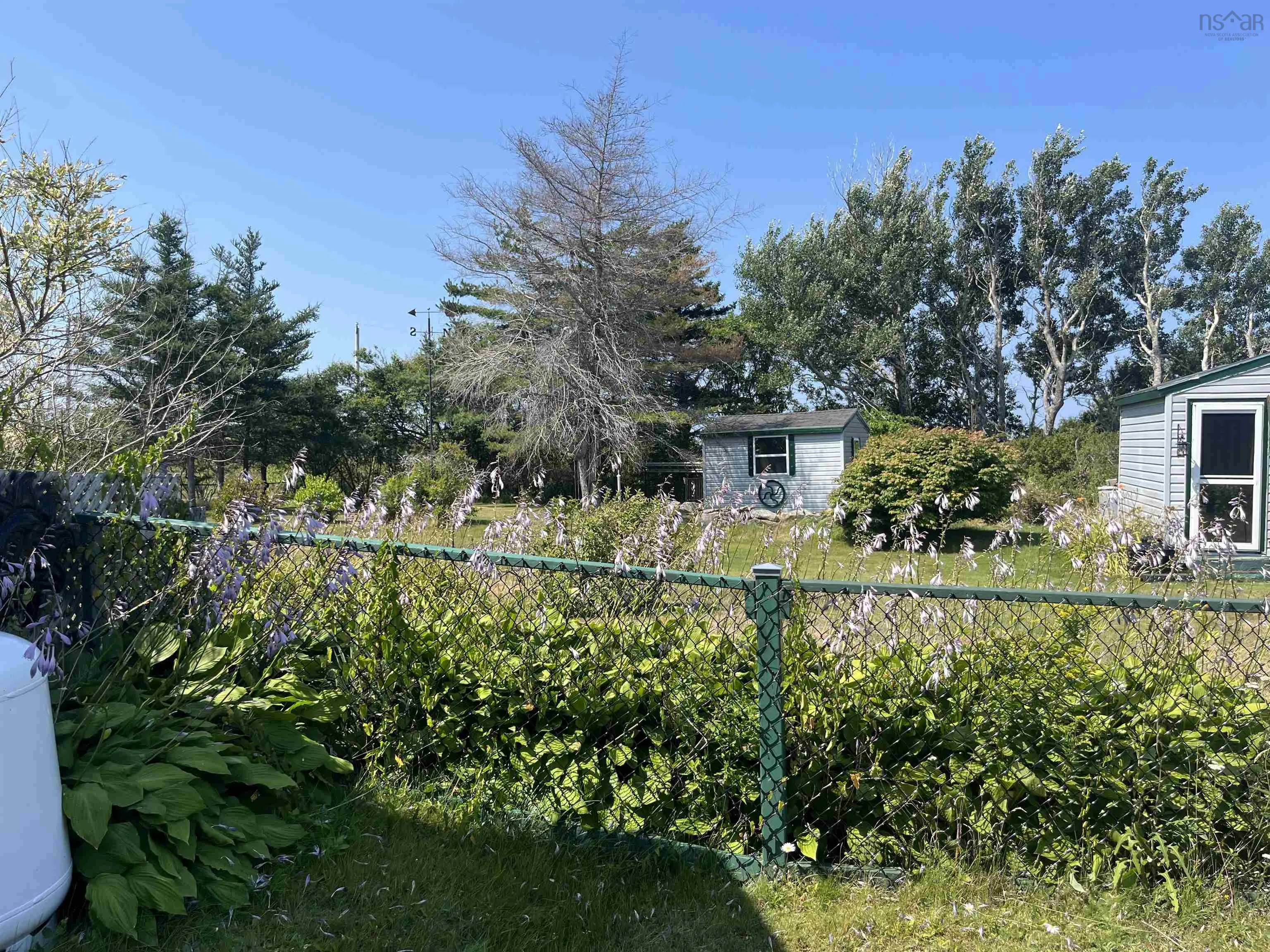 742 Donkin Highway, Donkin, NS B1A 6P1, 1 Bedroom Bedrooms, ,1 BathroomBathrooms,Residential,For Sale,Donkin,202520658