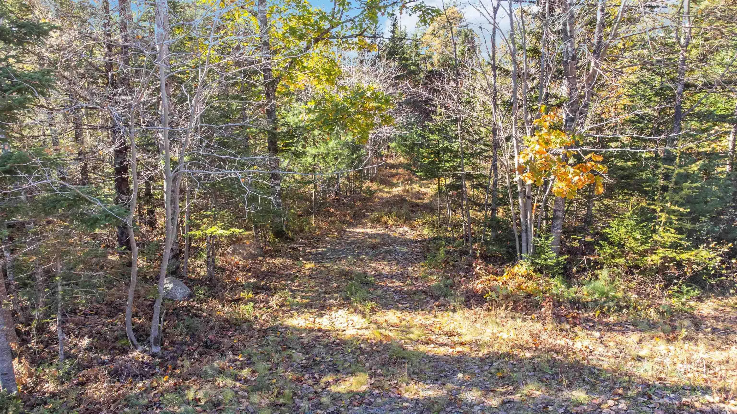 Highway 208, Simpsons Corner Ns B0r 1e0, ,Land,For Sale,Highway 208,202503158