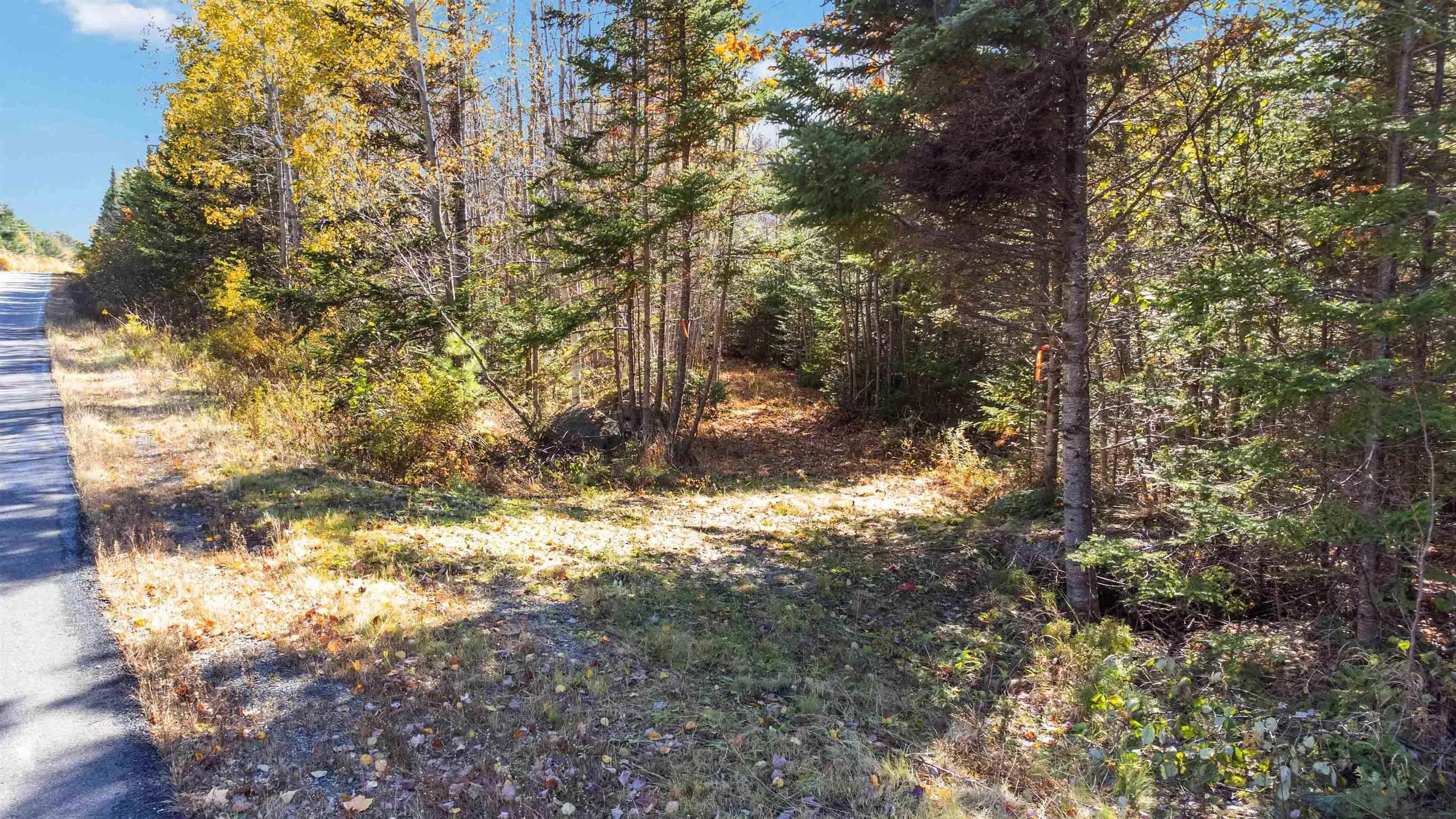 Highway 208, Simpsons Corner Ns B0r 1e0, ,Land,For Sale,Highway 208,202503158