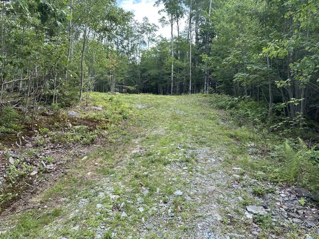 Lot 1-24 Falkenham Road, East Dalhousie, NS B0H 1H0, ,Land,For Sale,Falkenham,202523641