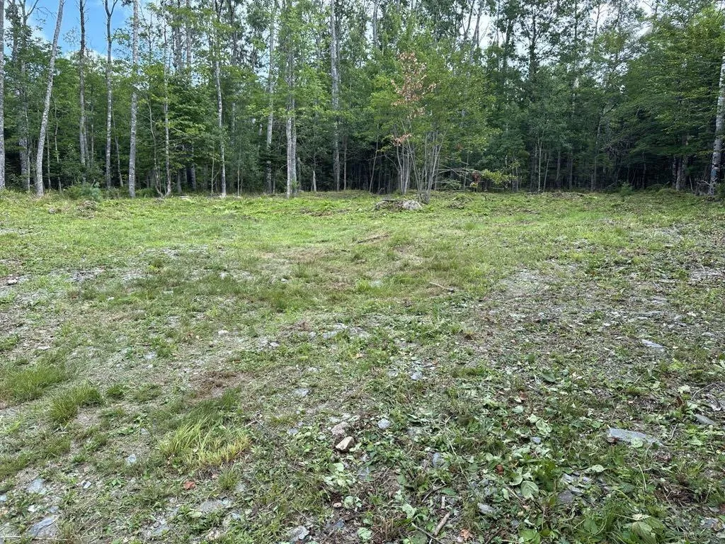 Lot 1-24 Falkenham Road, East Dalhousie, NS B0H 1H0, ,Land,For Sale,Falkenham,202523641