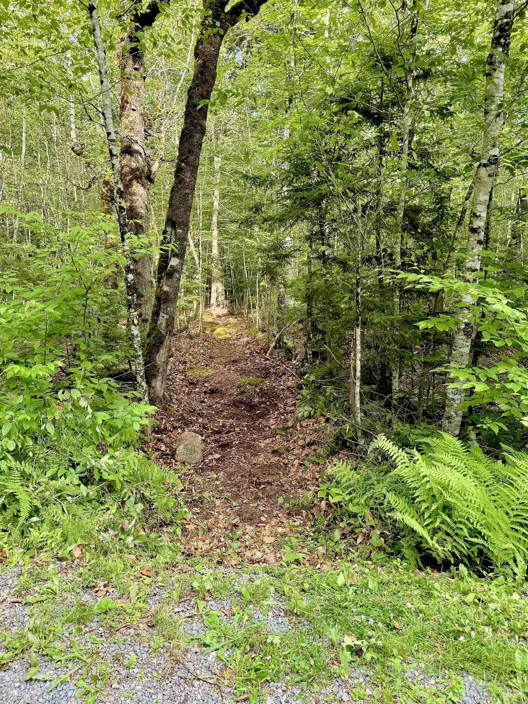 Cliff Road Lot 40, New Russell, NS B0J 2M0, ,Land,For Sale,Cliff,202518435