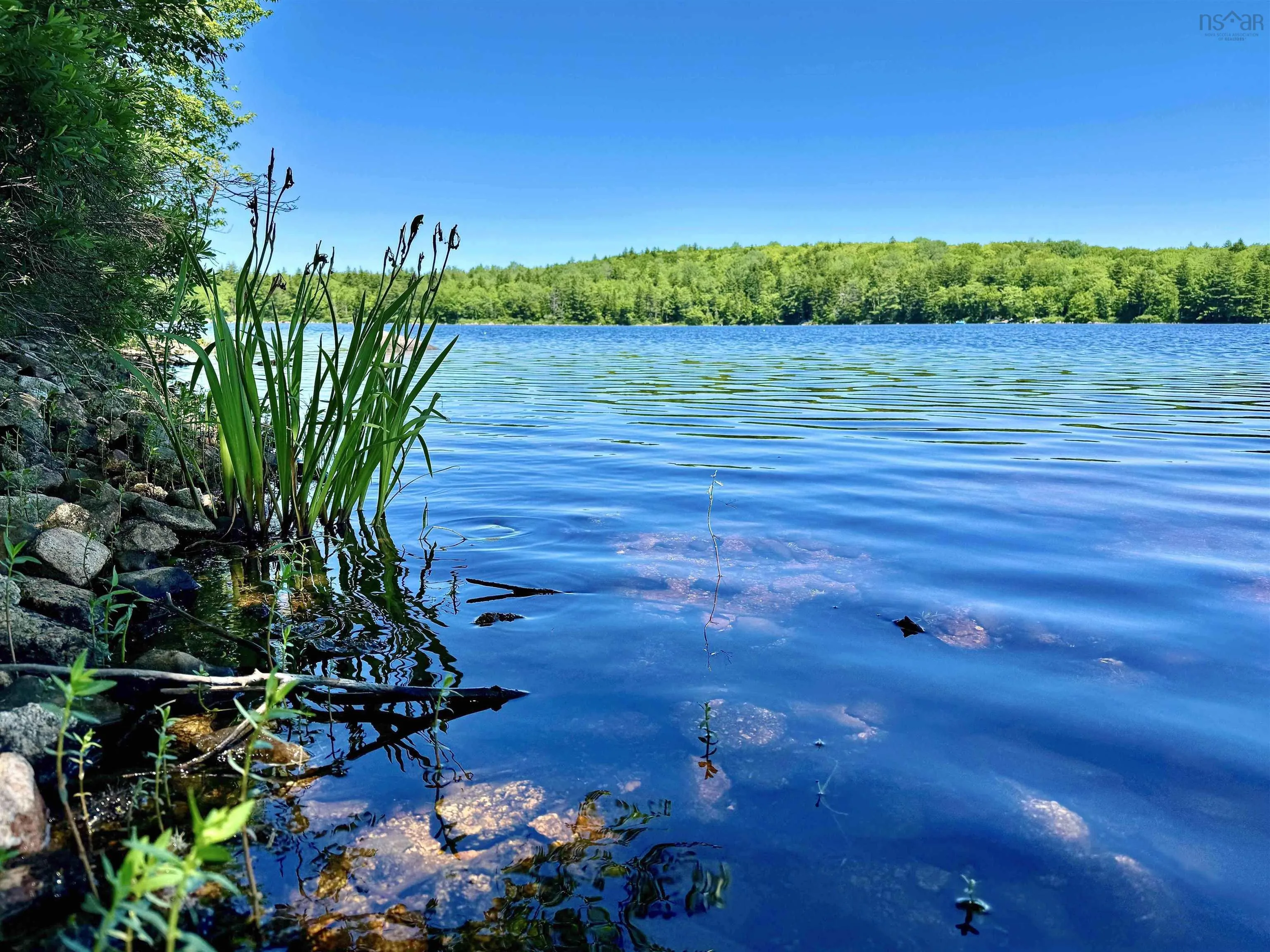 Cliff Road Lot 40, New Russell, NS B0J 2M0, ,Land,For Sale,Cliff,202518435