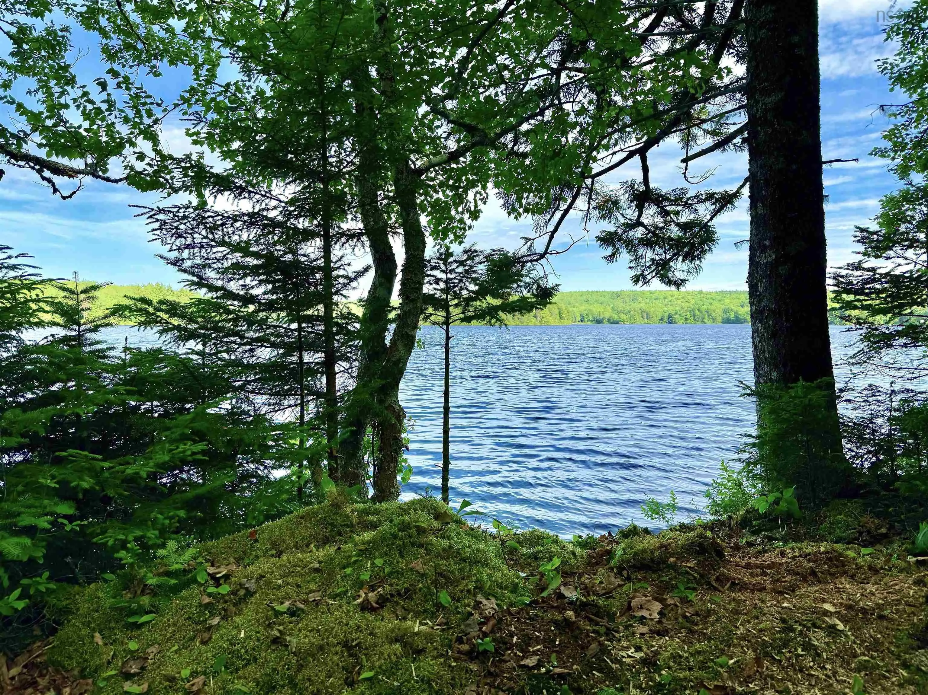 Cliff Road Lot 40, New Russell, NS B0J 2M0, ,Land,For Sale,Cliff,202518435