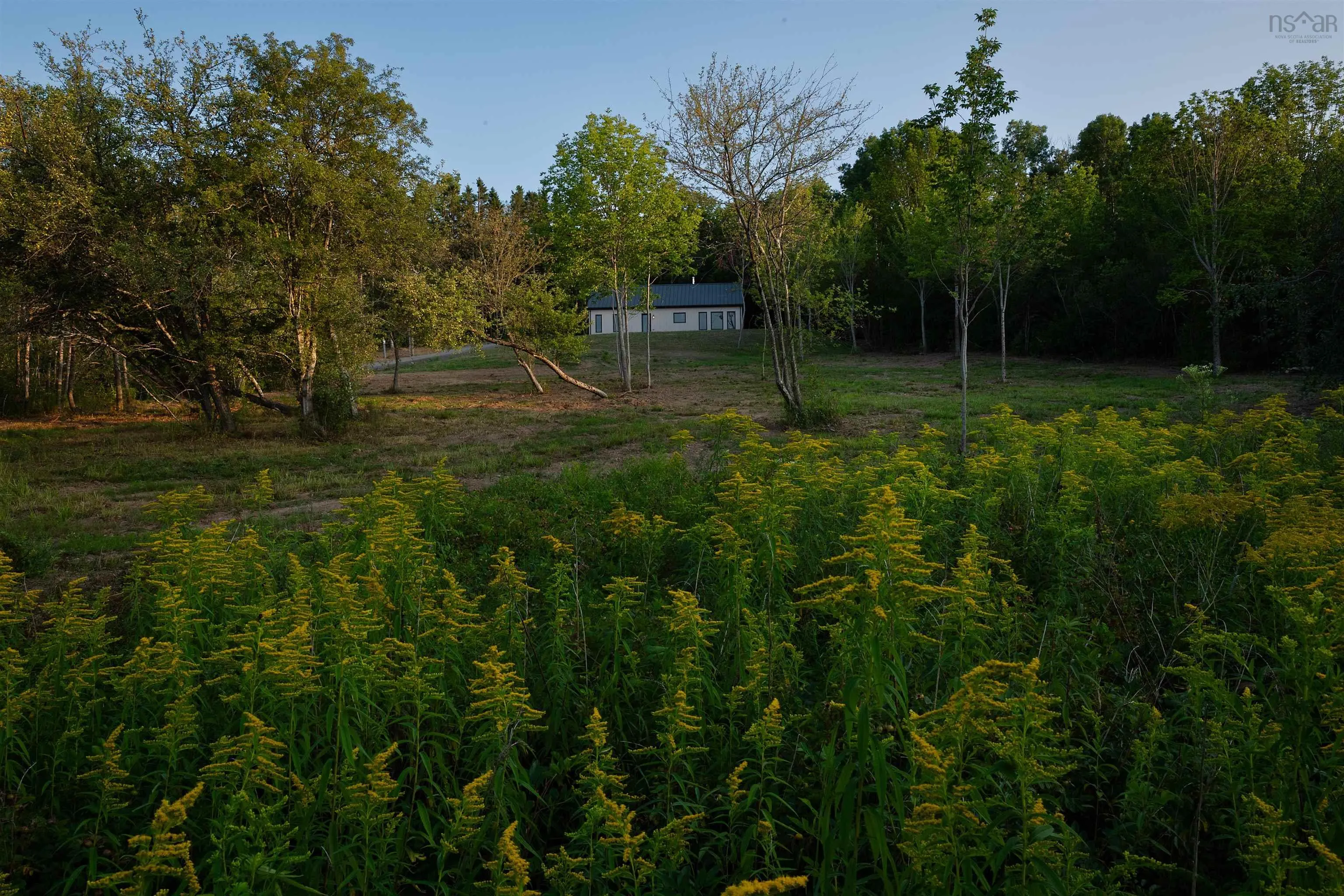 800 Bluff Road, Lockhartville, NS B0P 1H0, 3 Bedrooms Bedrooms, ,1 BathroomBathrooms,Residential,For Sale,Bluff,202522546
